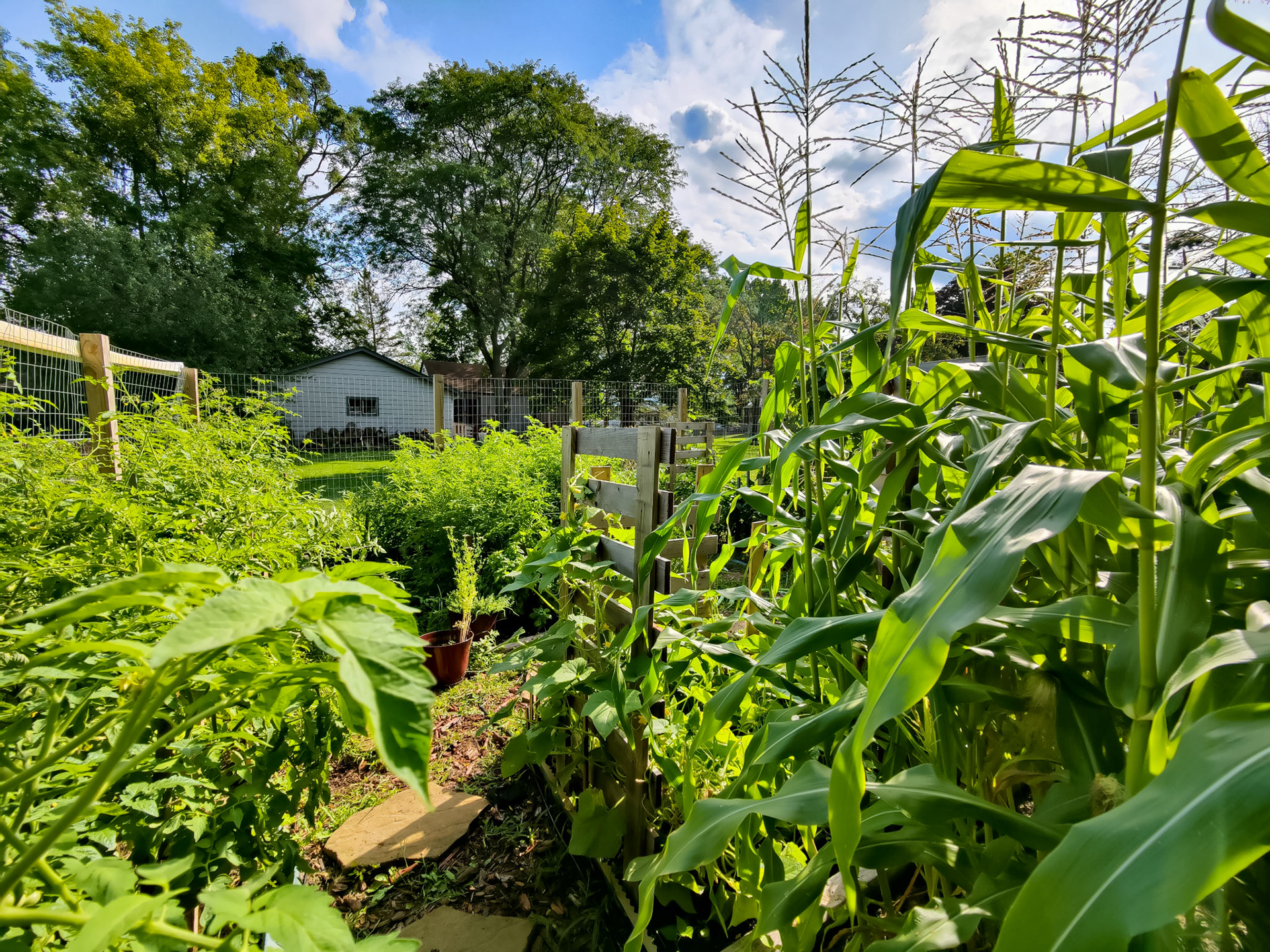 THE GARDEN 8.15.2022
