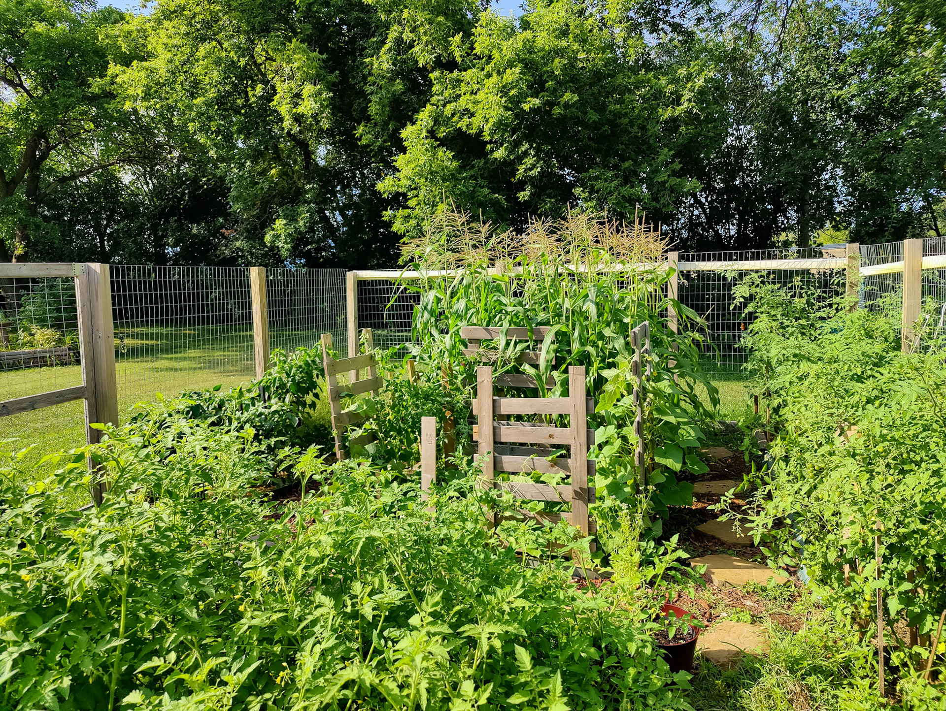 THE GARDEN 8.15.2022