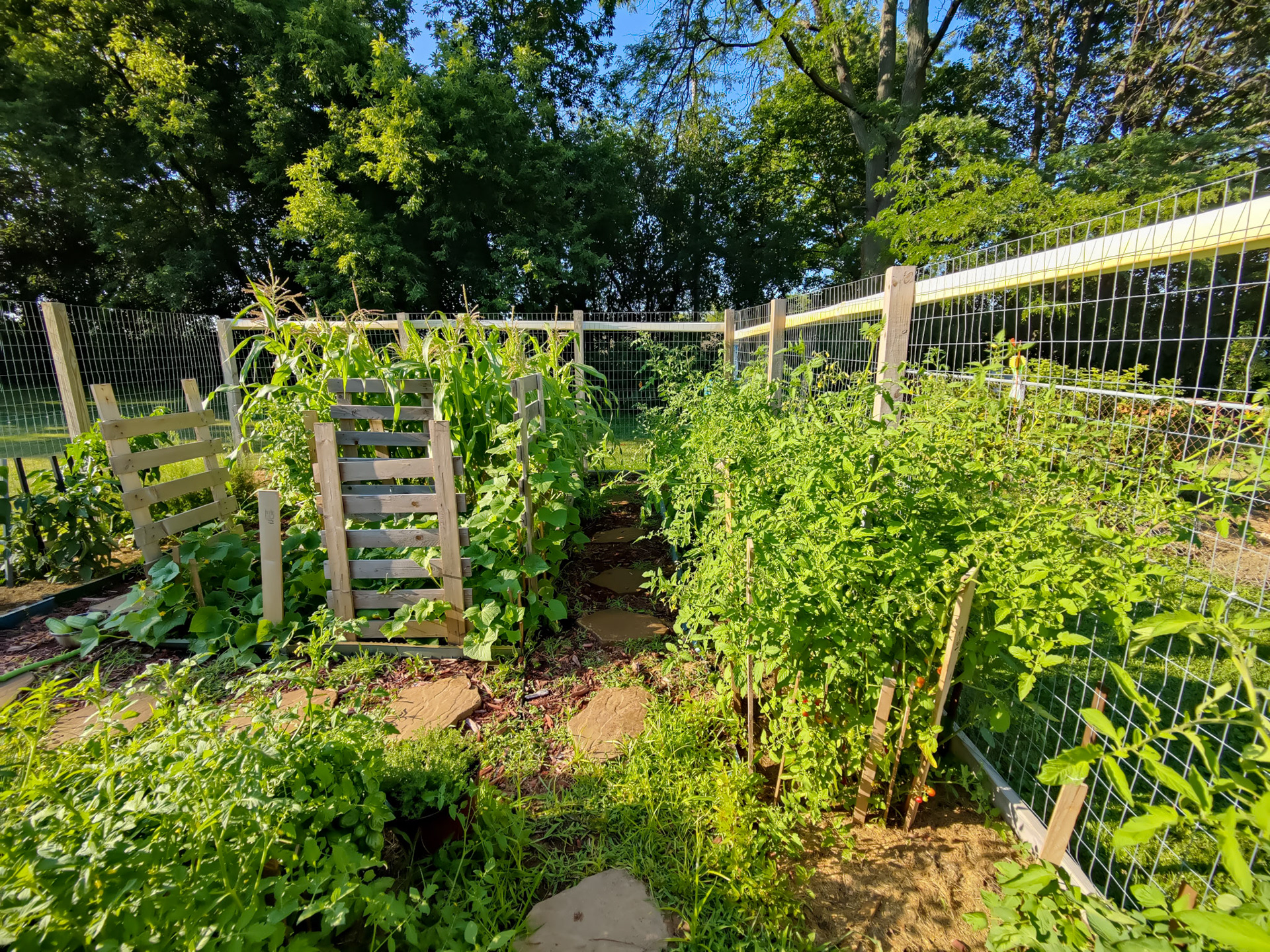 THE GARDEN 8.5.2022e