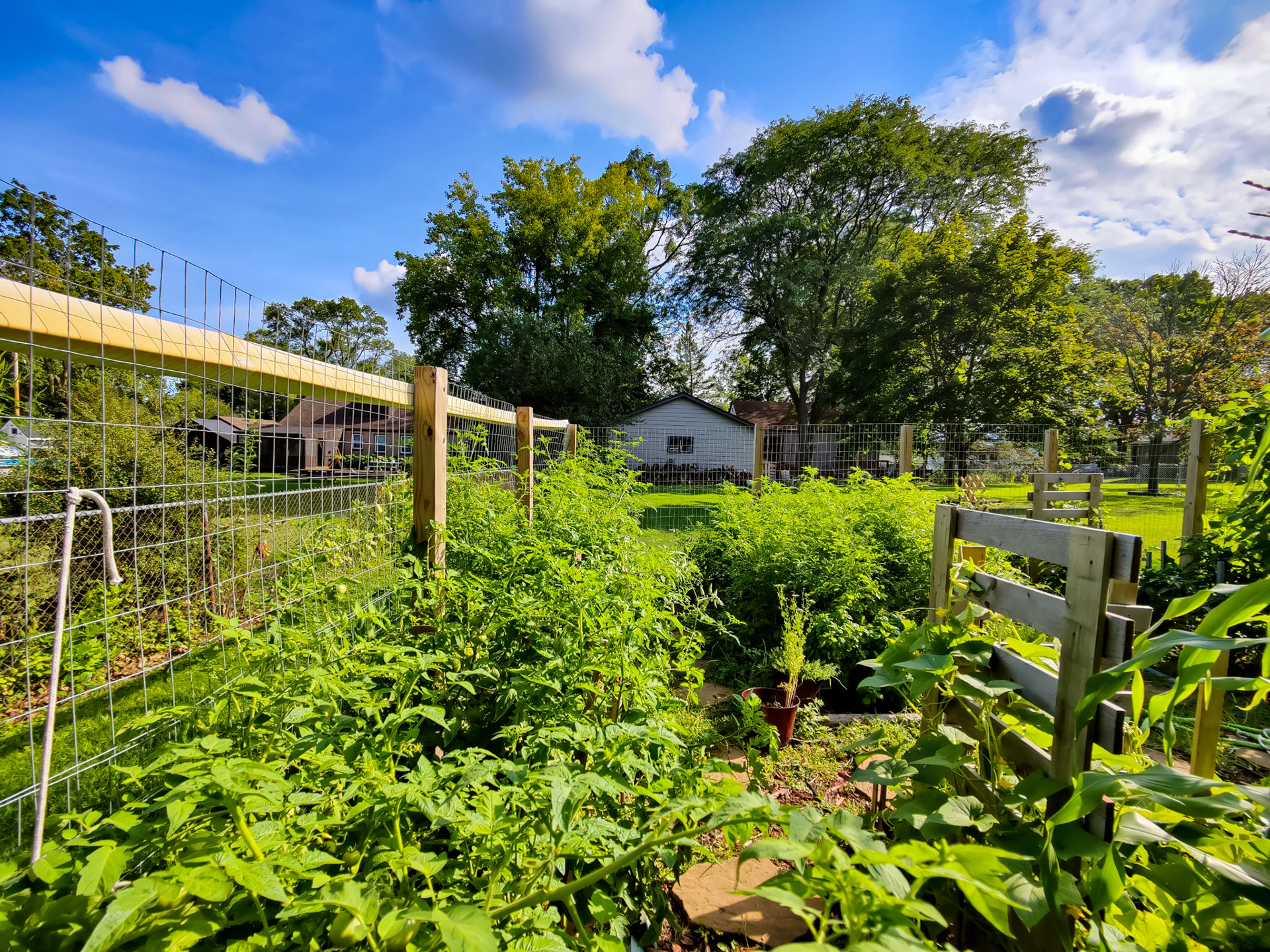THE GARDEN 8.15.2022