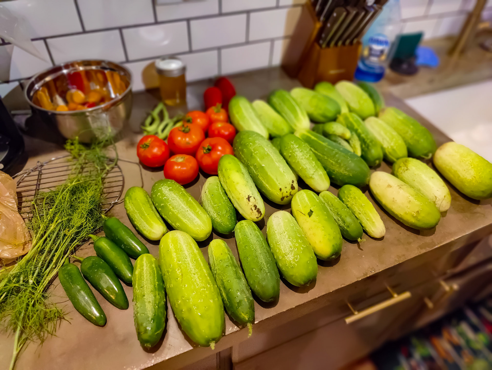 THE GARDEN 8.5.2022e