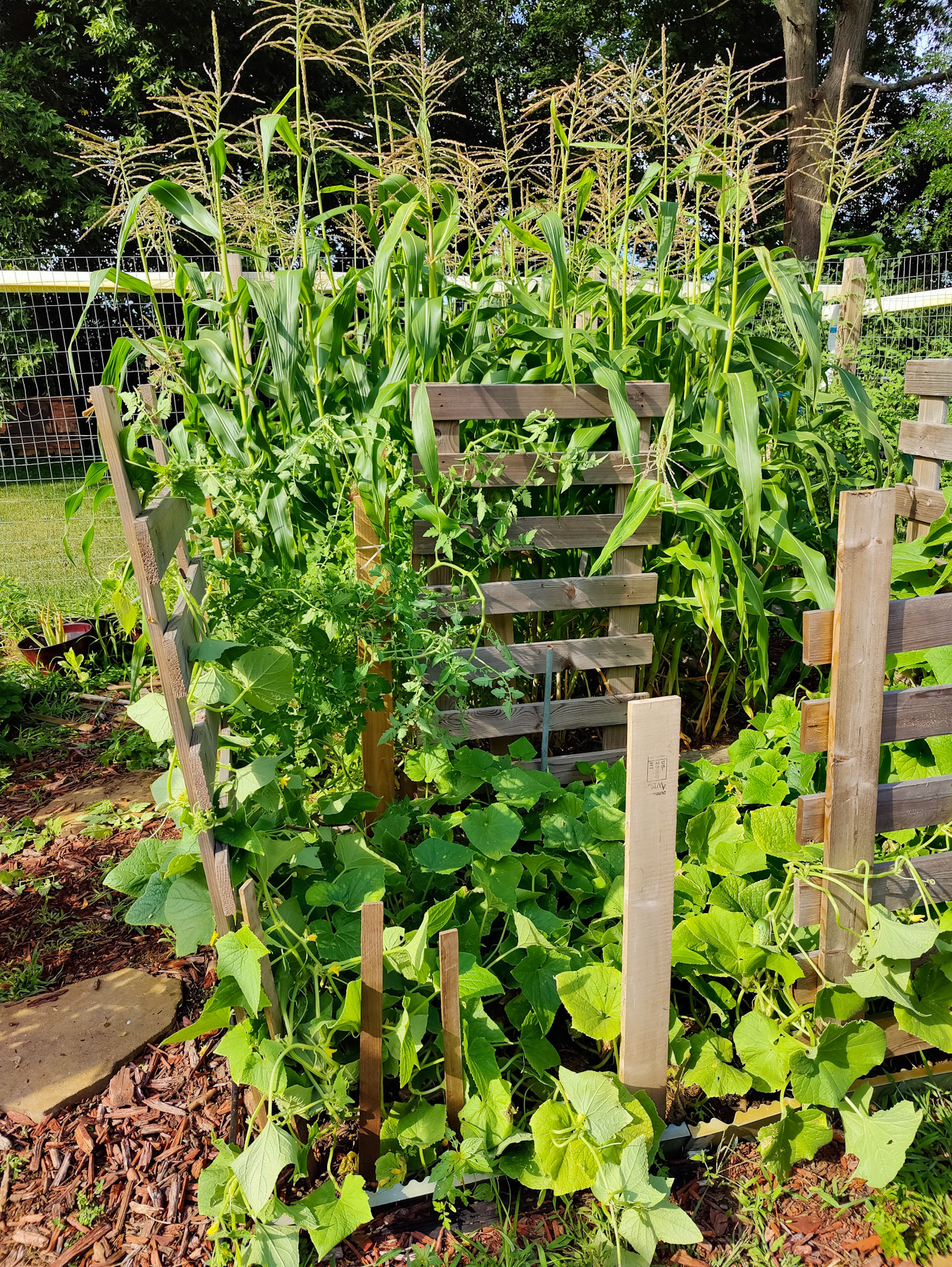 THE GARDEN 8.15.2022