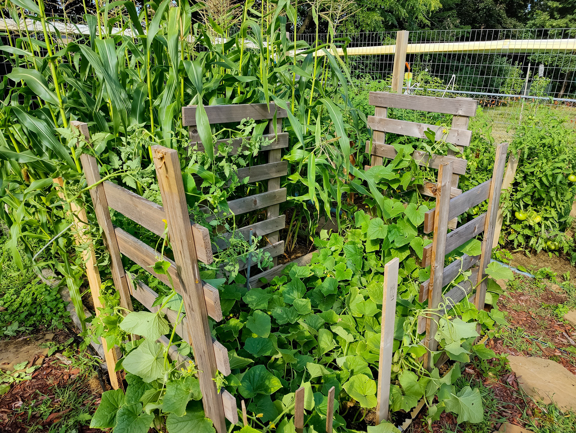 THE GARDEN 8.15.2022