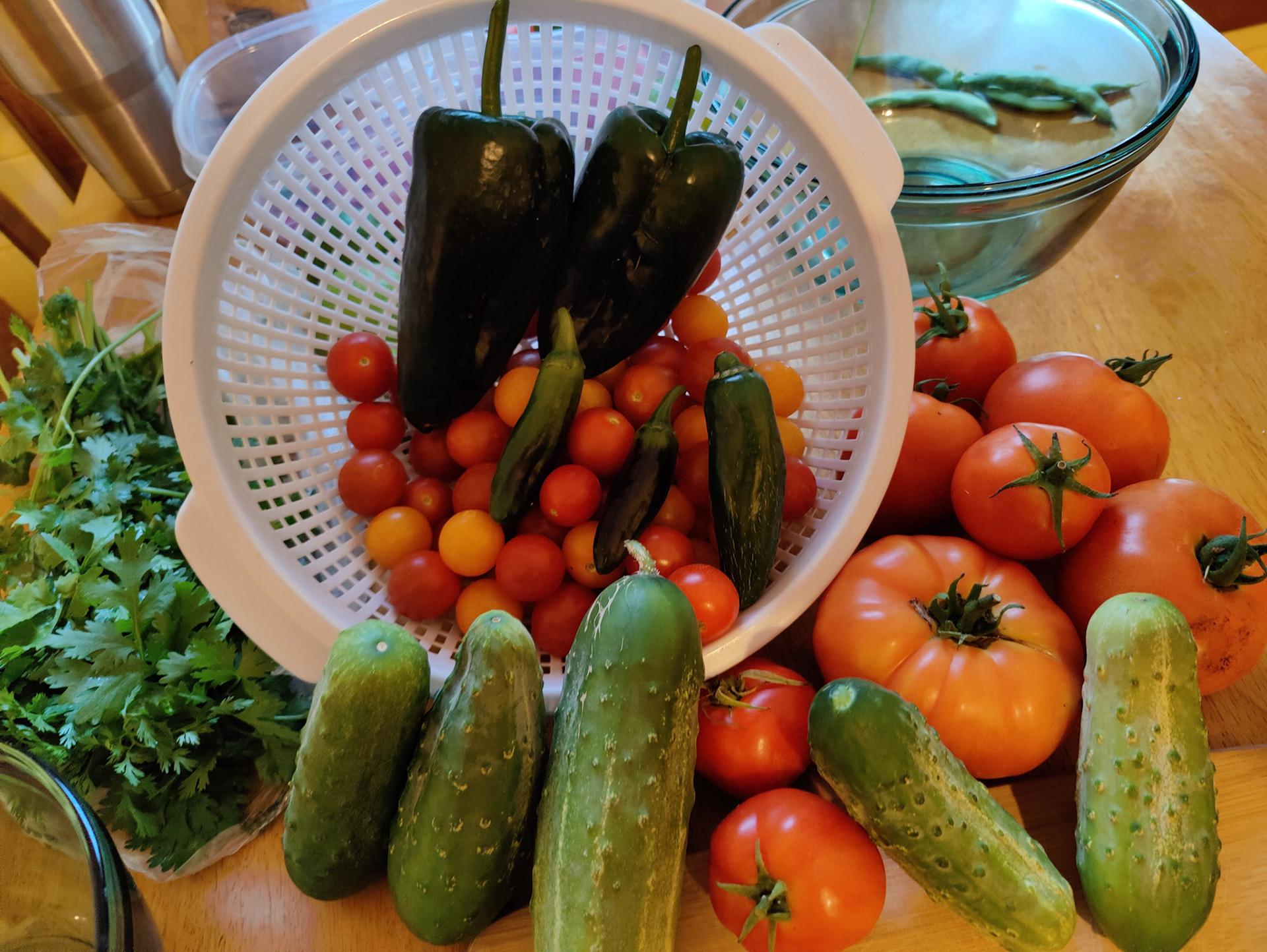 THE GARDEN 8.15.2022