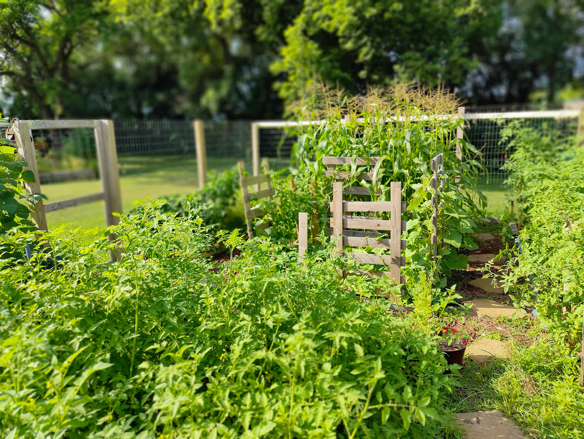 THE GARDEN 8.15.2022