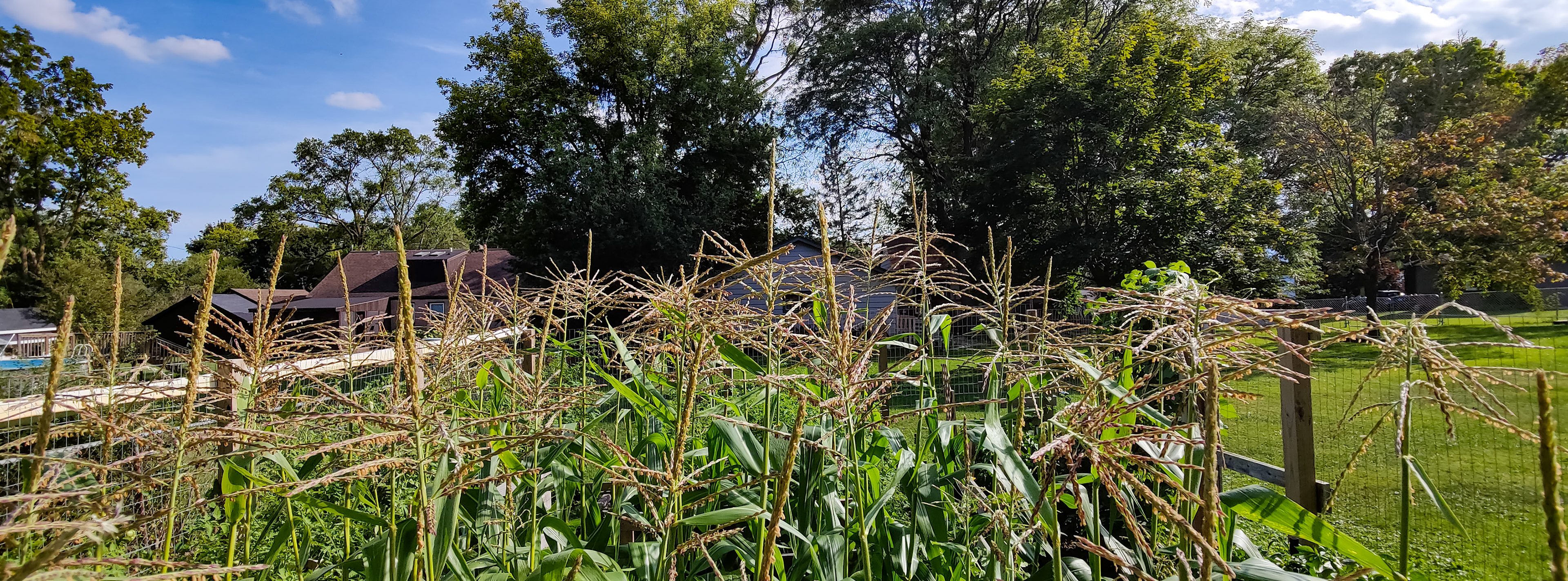 THE GARDEN 8.15.2022