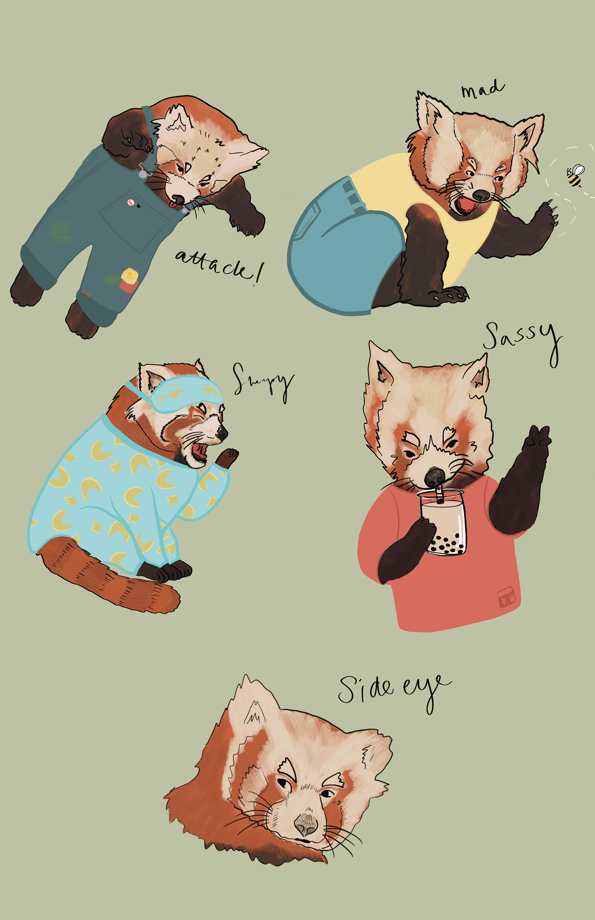 Sienna the Red Panda