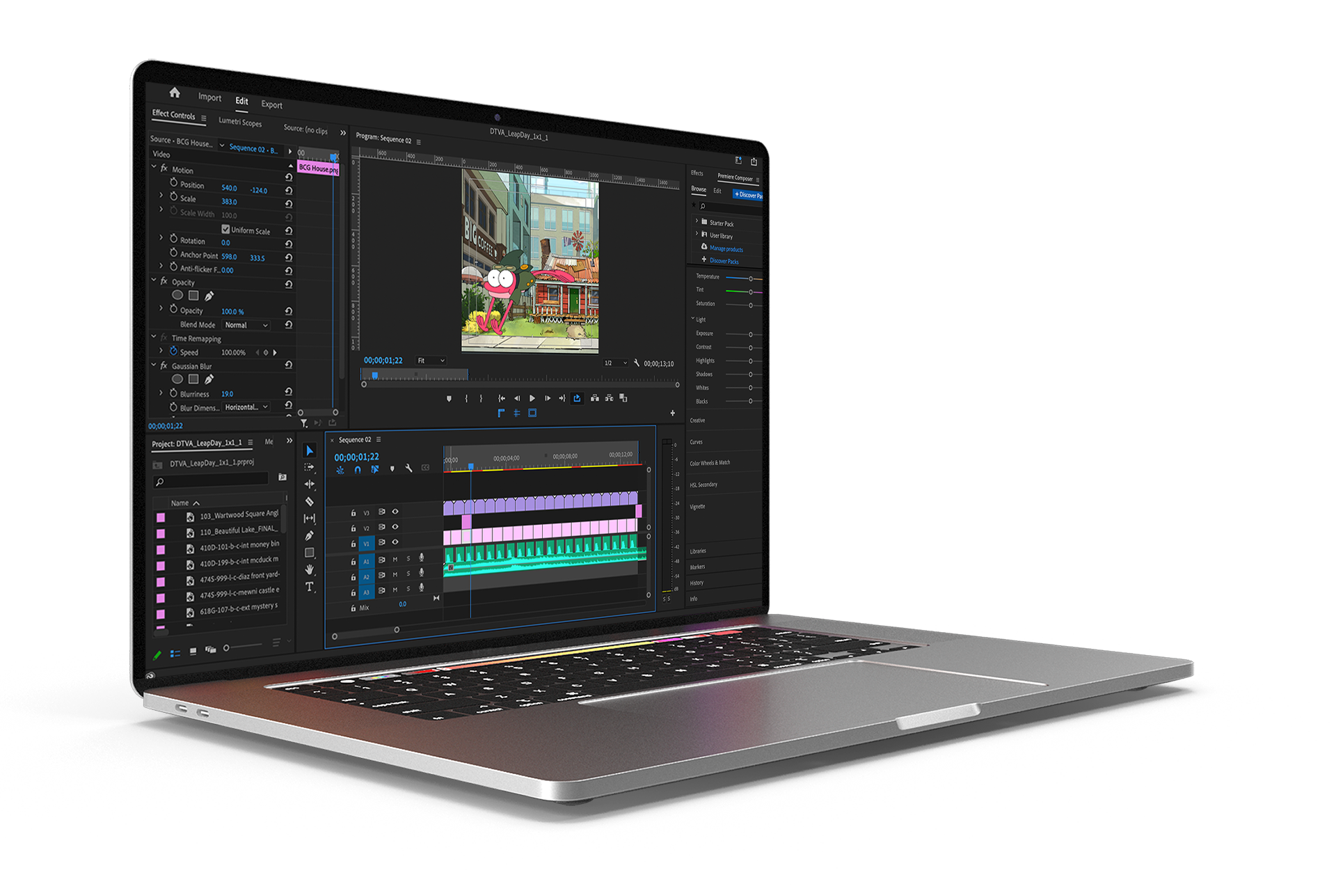Adobe Premiere Pro - 1:1 Animation