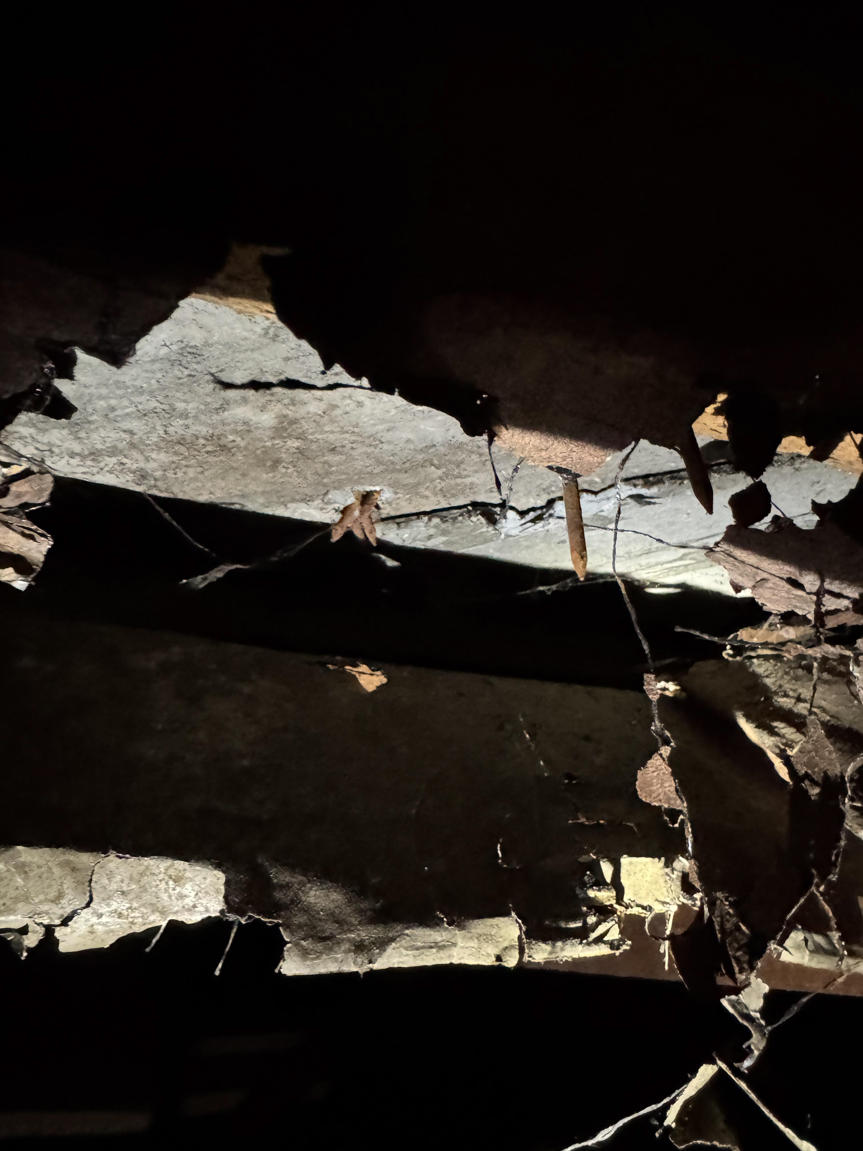 Overzetdak over asbestleien