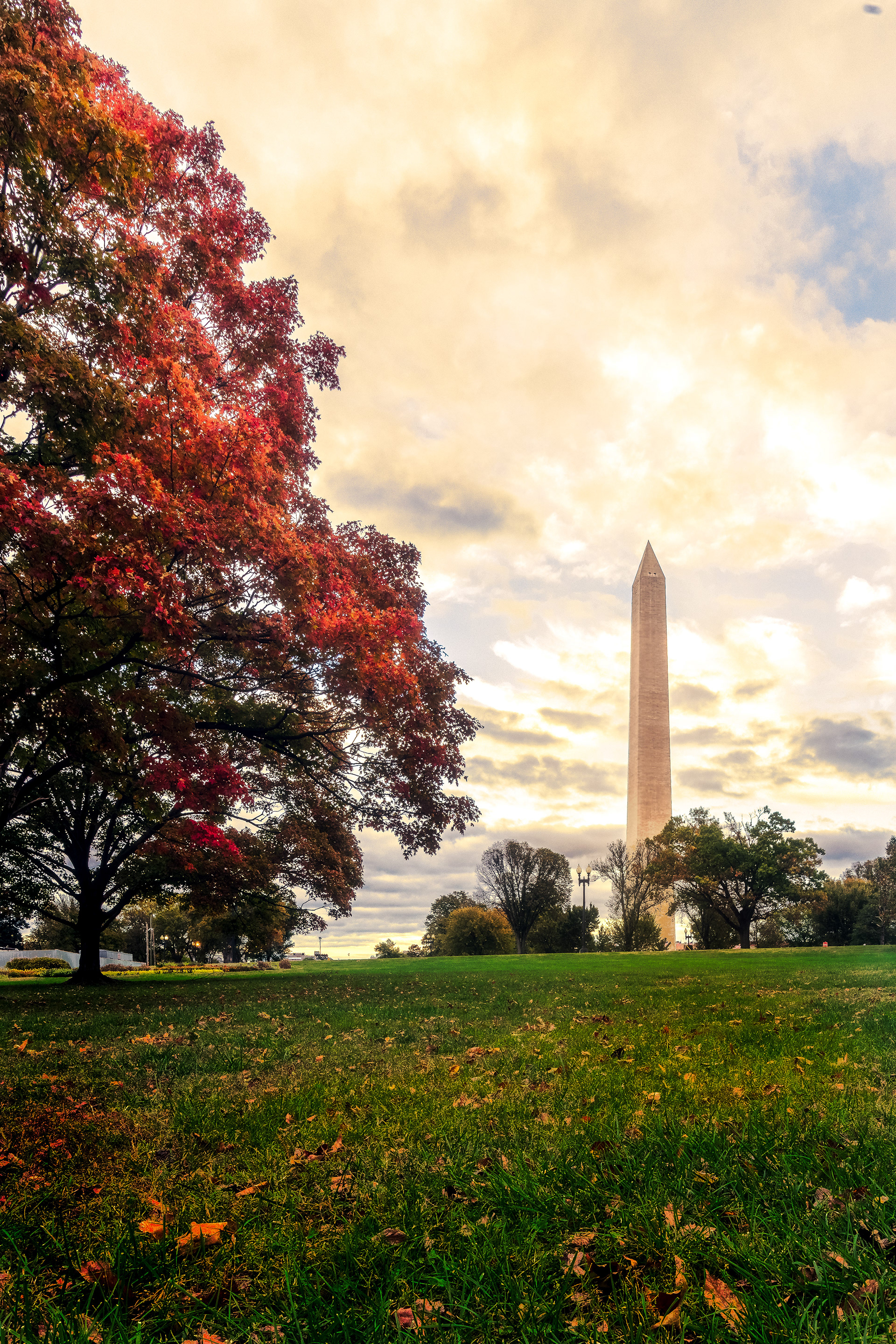 Washongton DC during fall