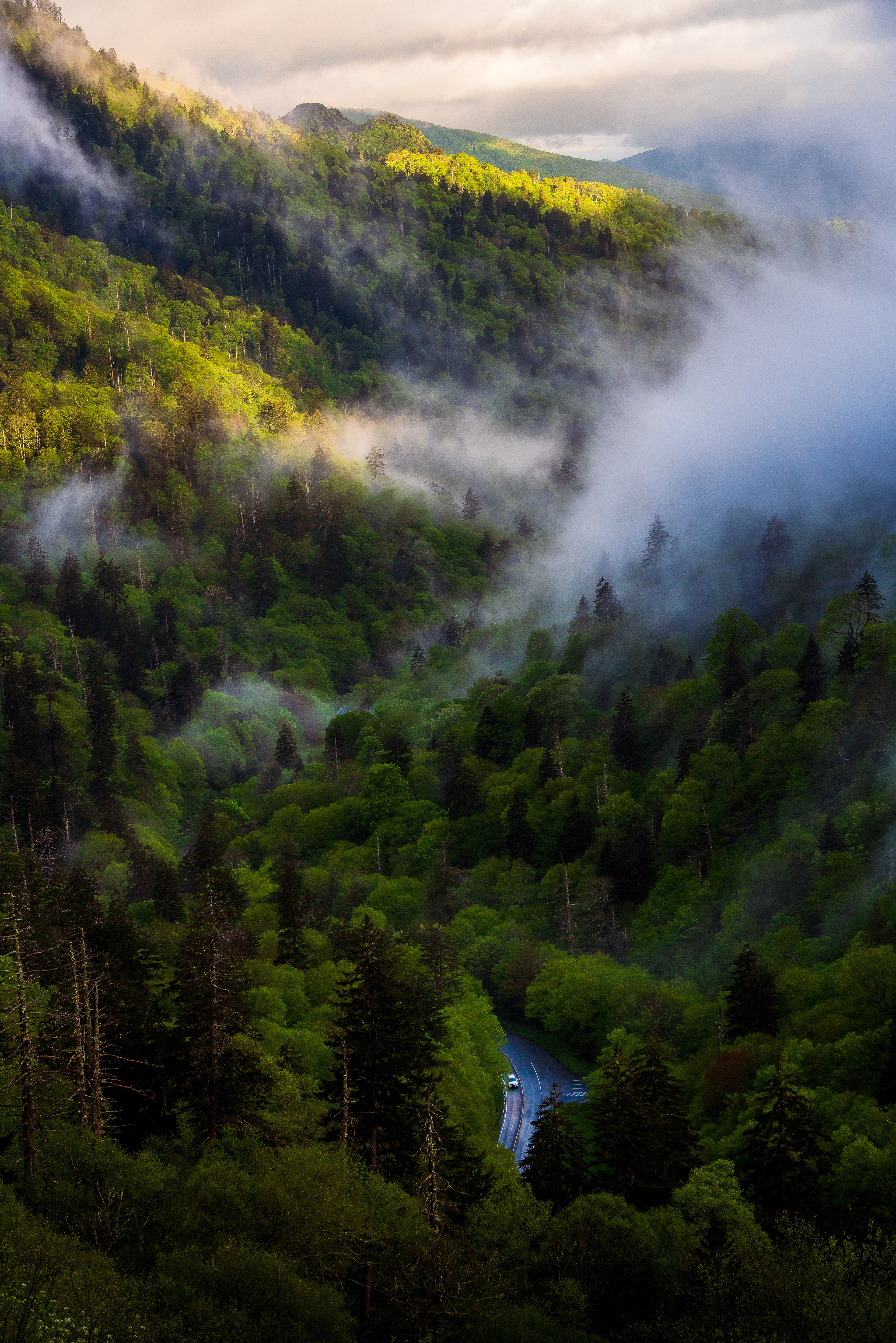 Morton Gap in the summer. The photo was taken in Smoky Mountains in the beginning of summer