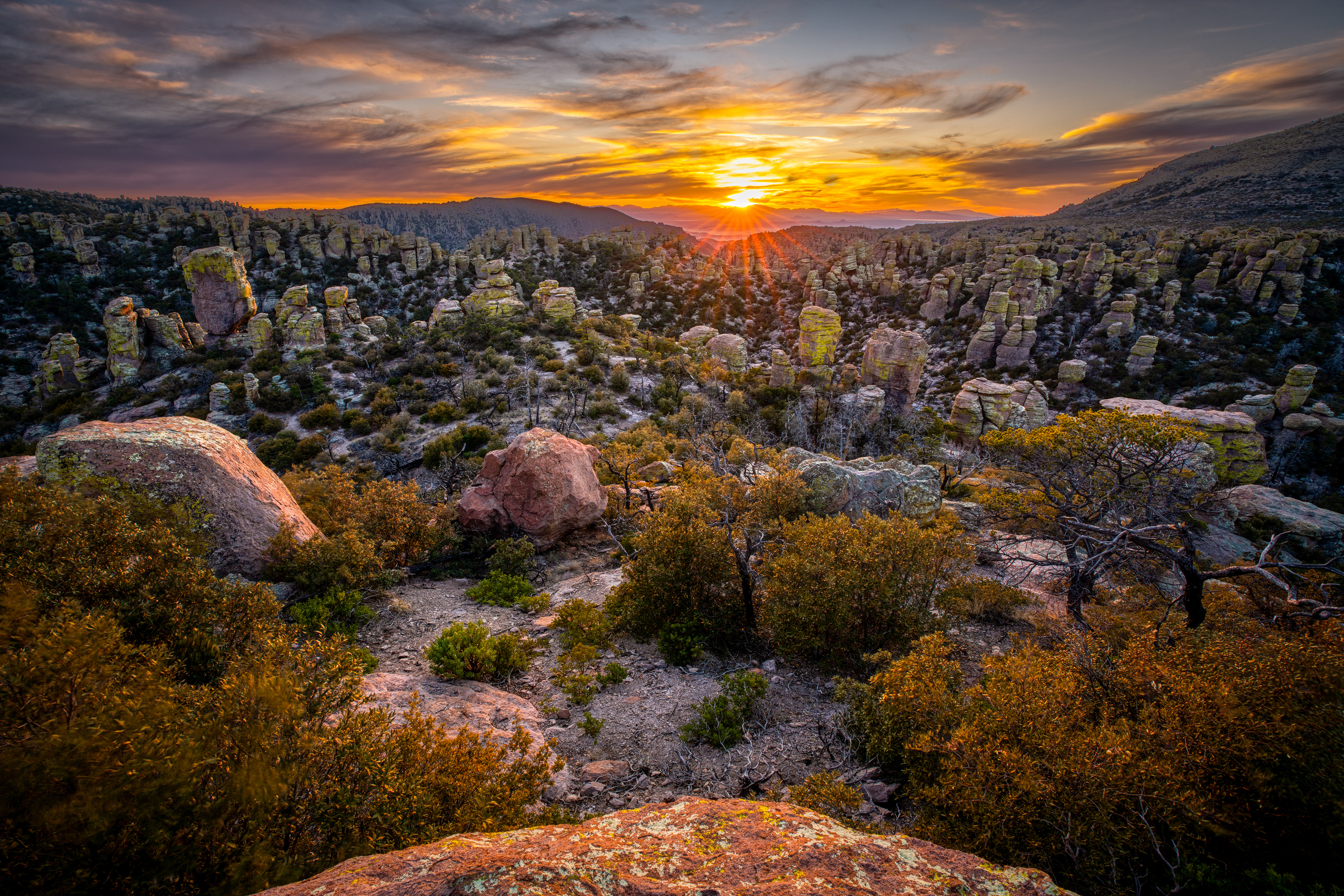 Chiricahua