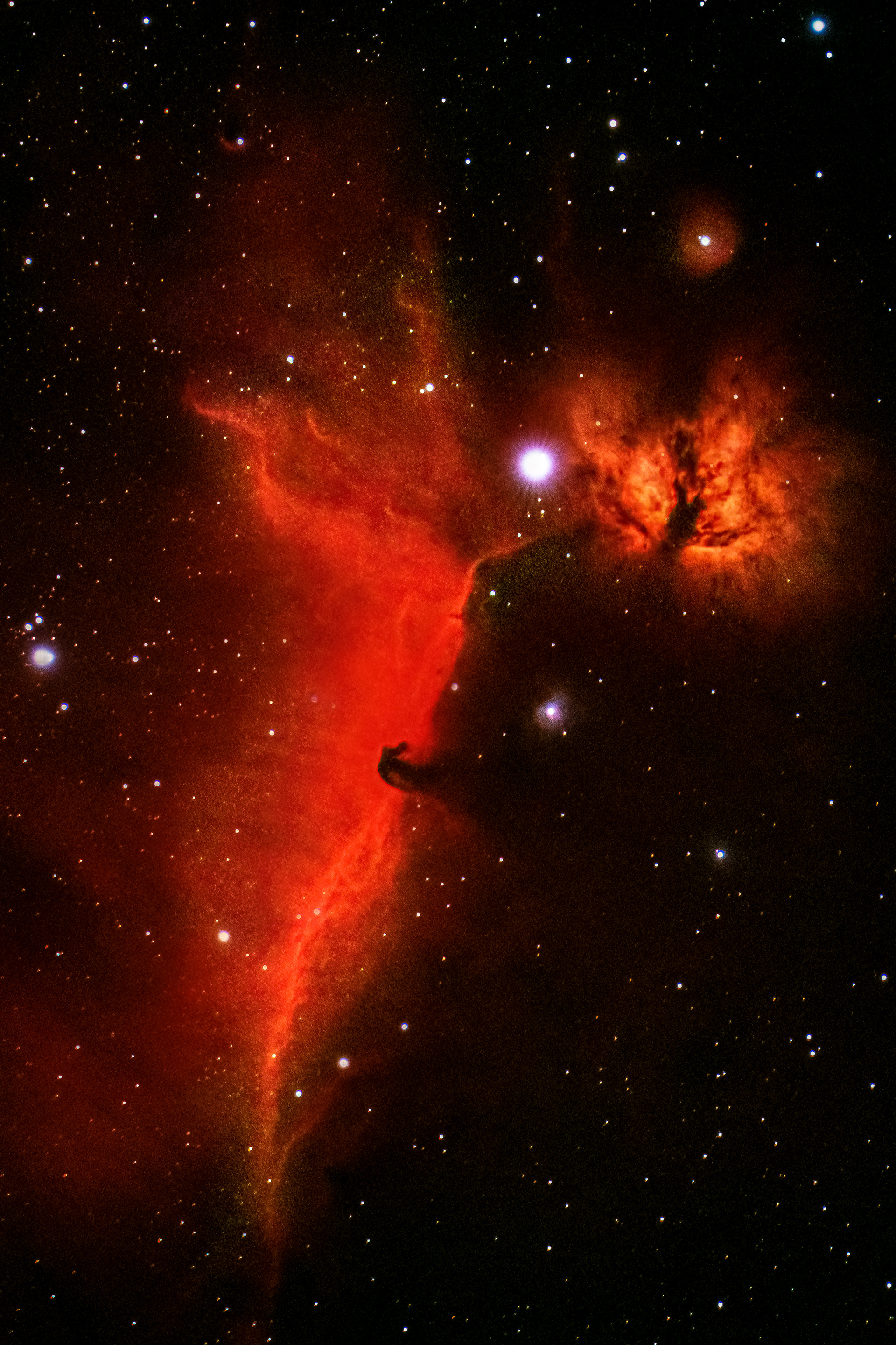 HorseHead