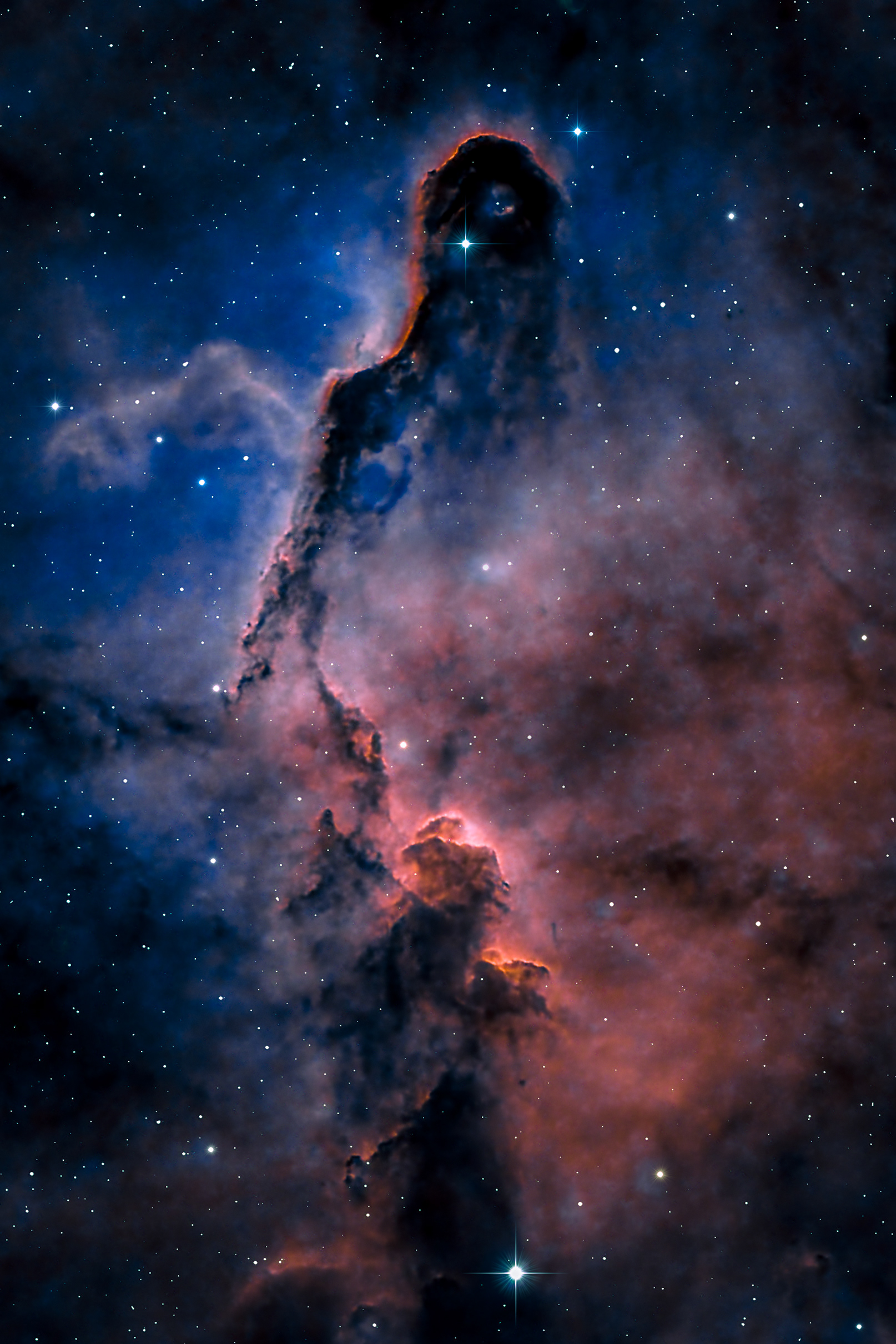Elephant Trunk Nebula