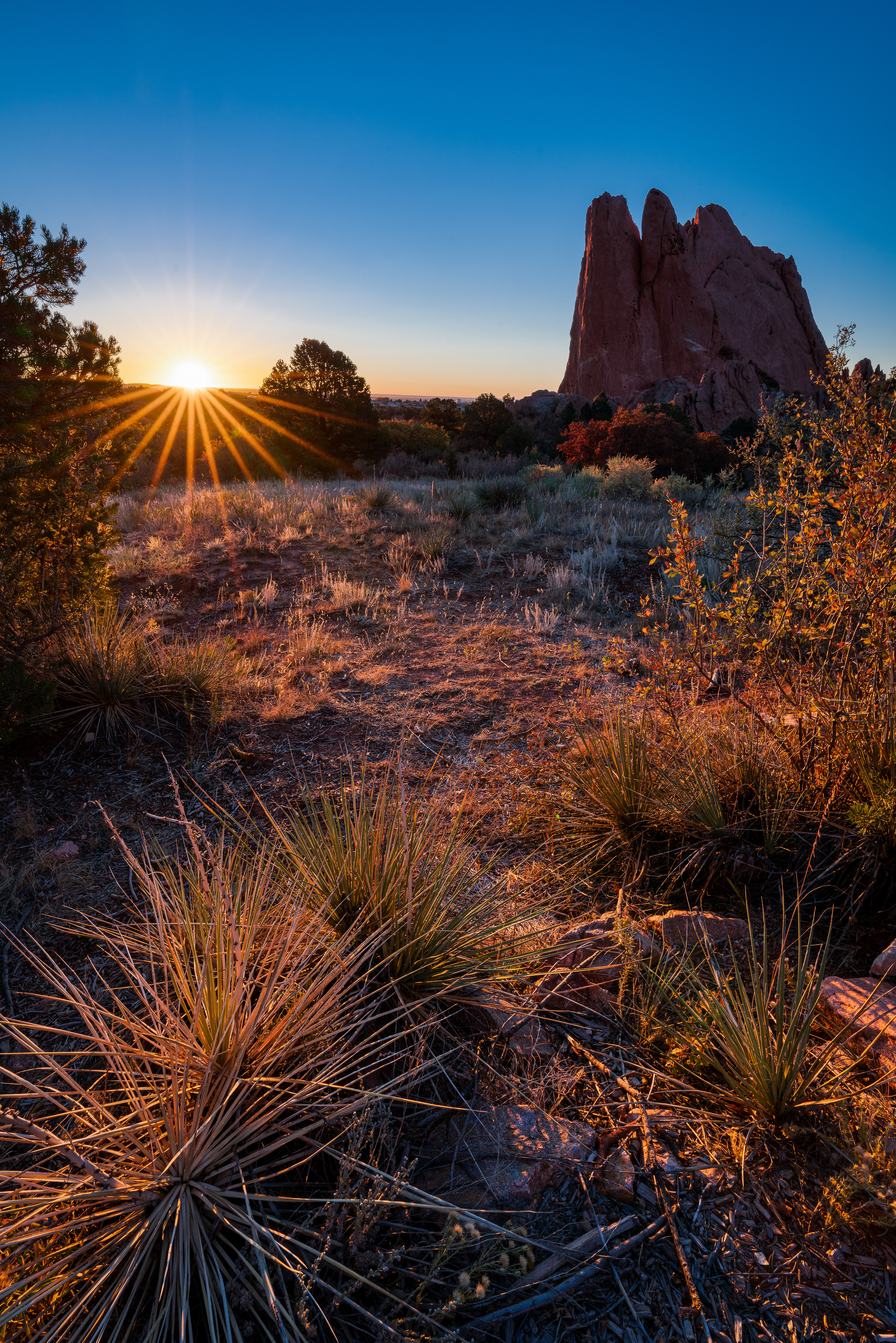 Garden of the Gods