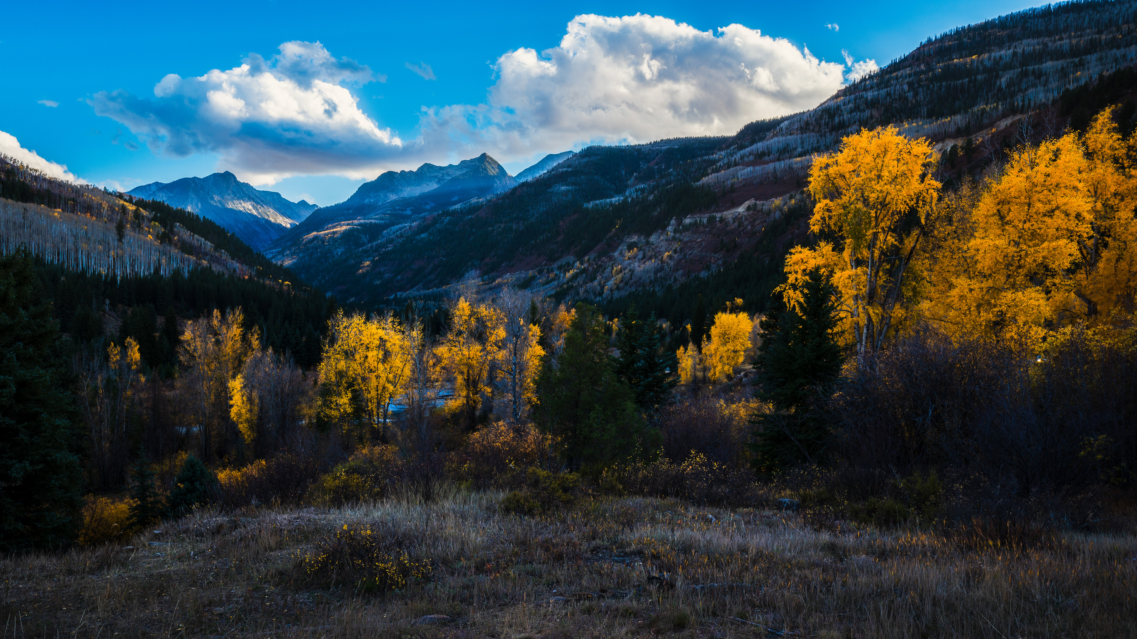 Colorado Fall