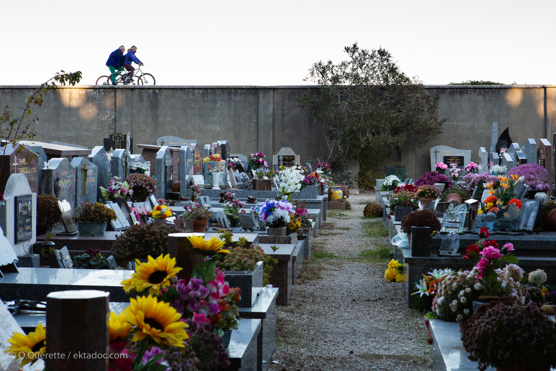 Cimetière de Trinquetaille à Arles