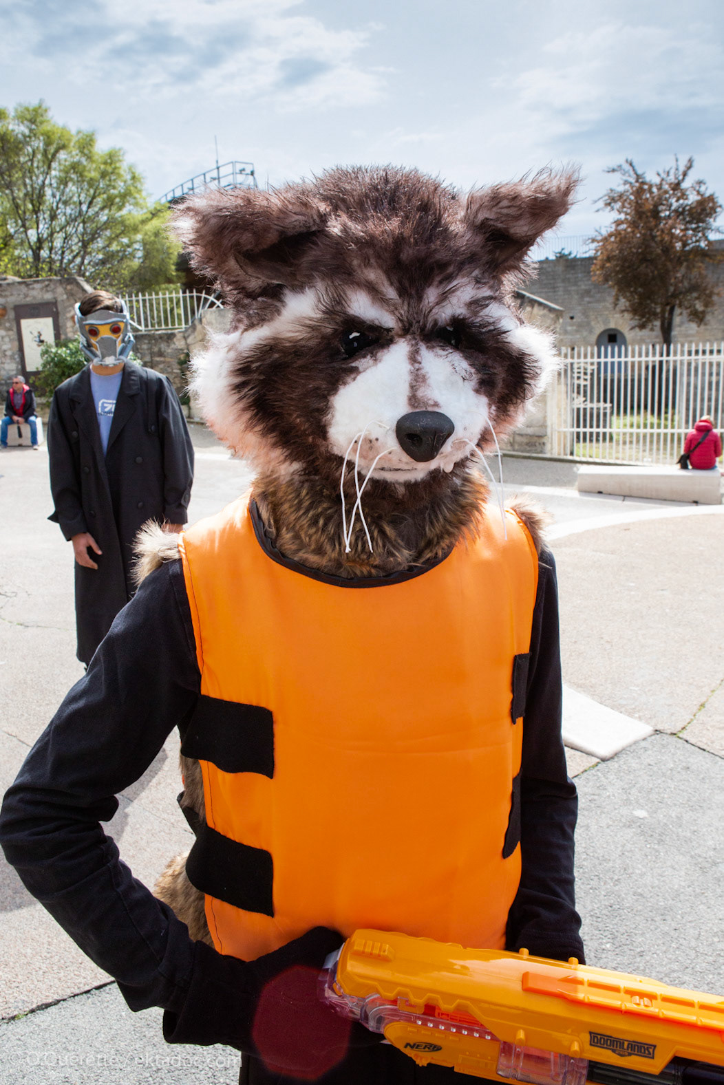Carnaval à Arles