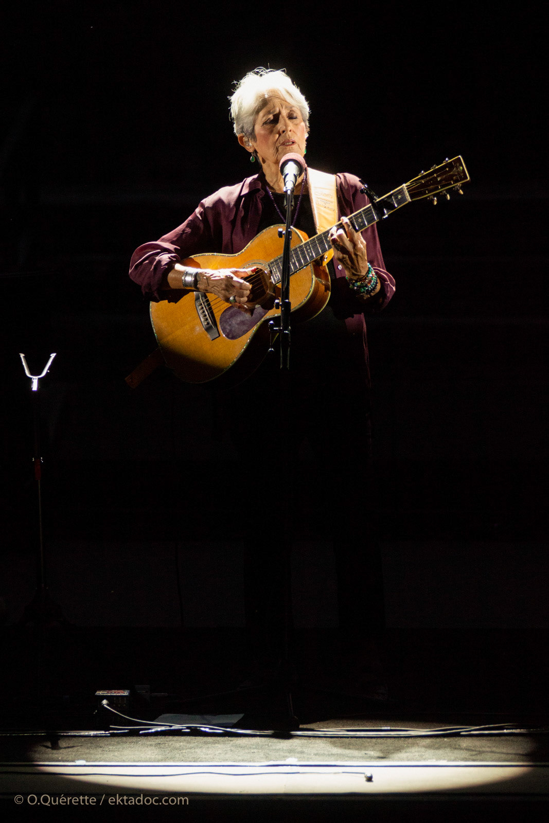 Concert de Joan Baez au théâtre antique d'Arles, août 2018