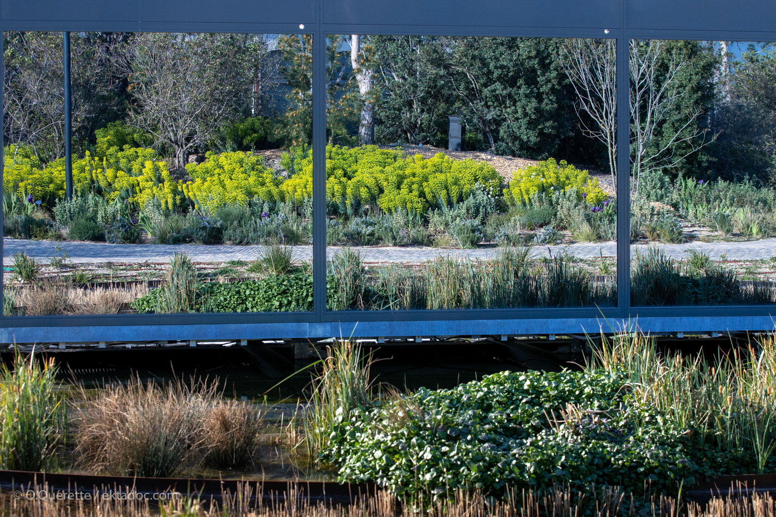 Jardin public de la Tour Luma à Arles