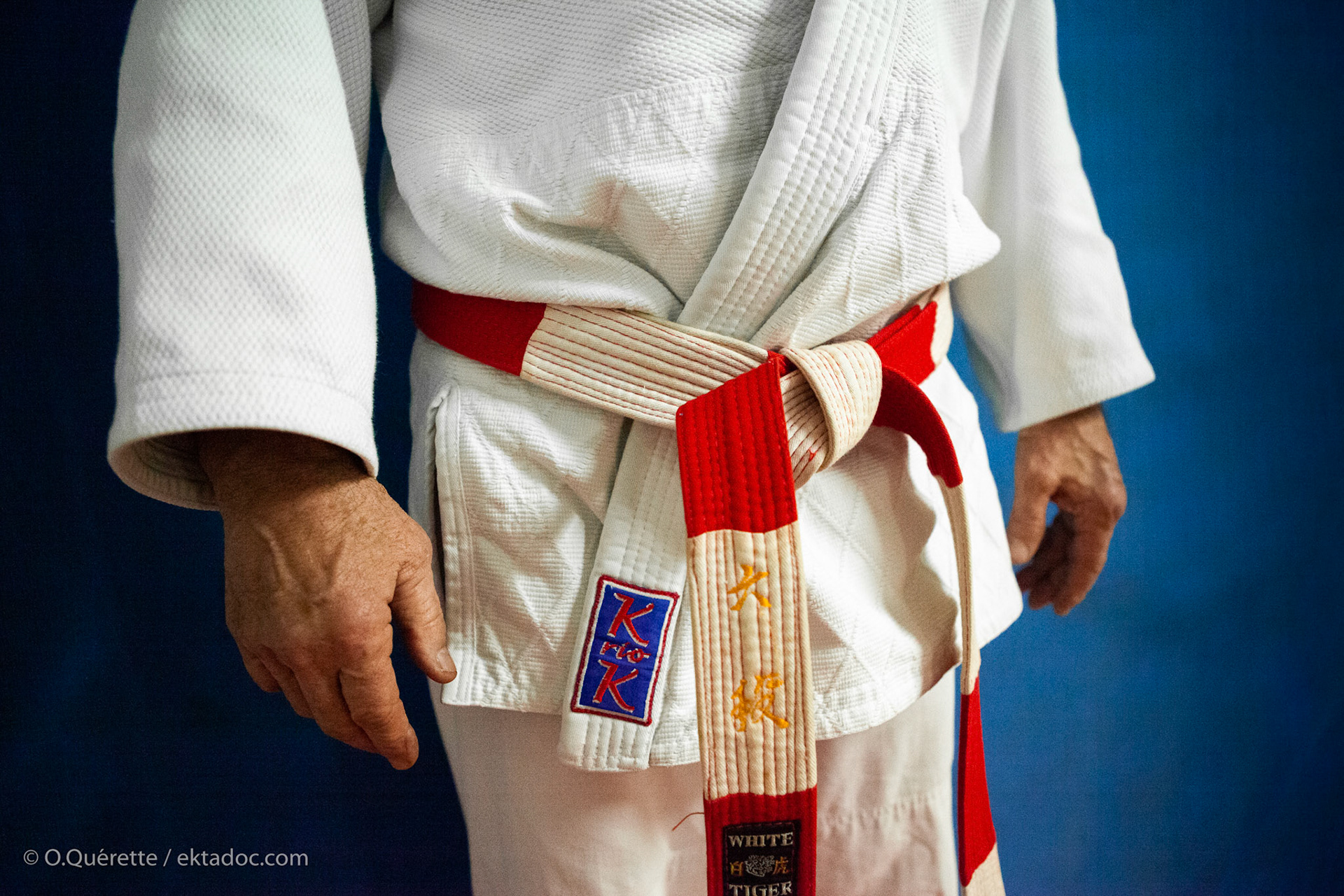 Remise de la ceinture rouge et blanche par le Judo Club Monplaisir, Arles