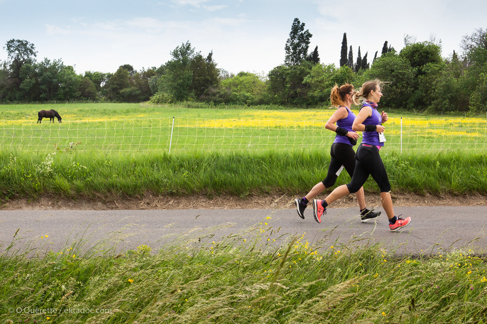 Le Marathon Arles-Alpilles