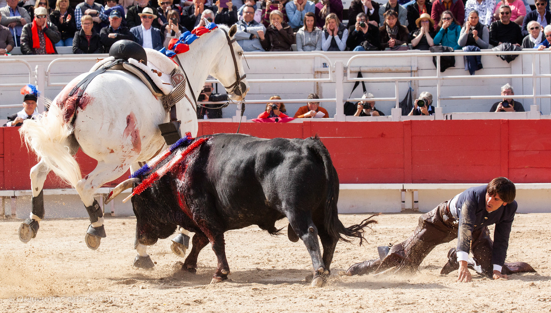 Feria de Pâques, corrida Rejon aux arènes d'Arles