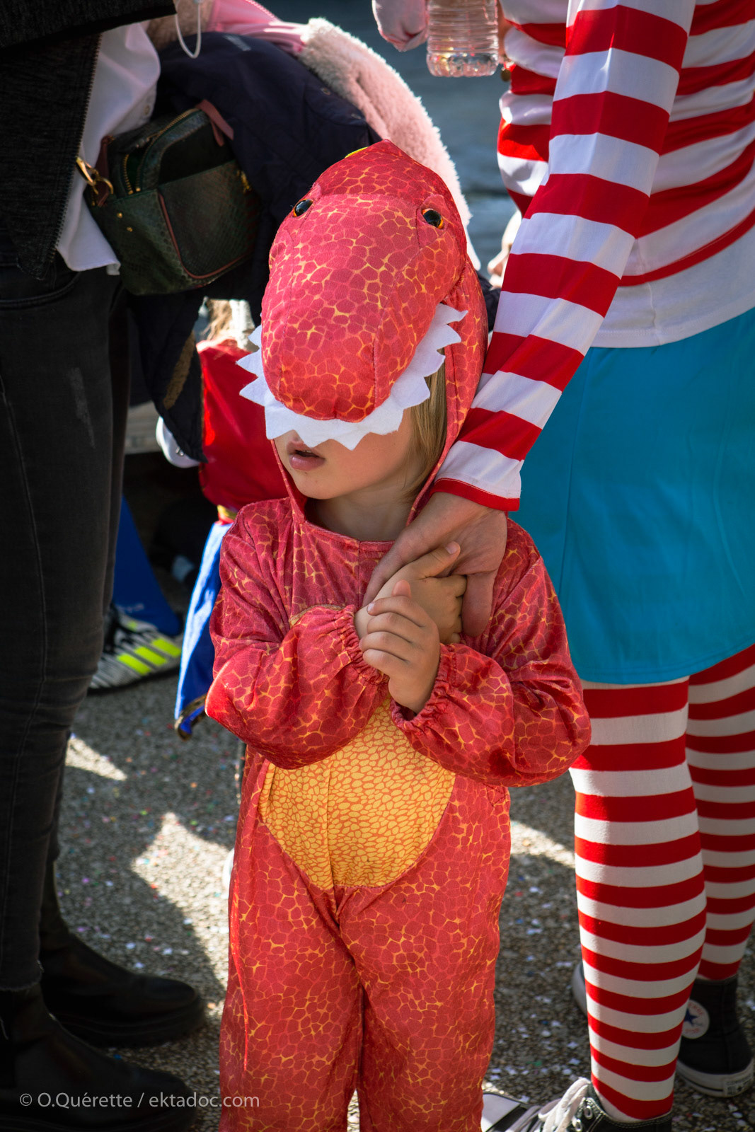 Carnaval des écoles de Raphèle, commune d'Arles