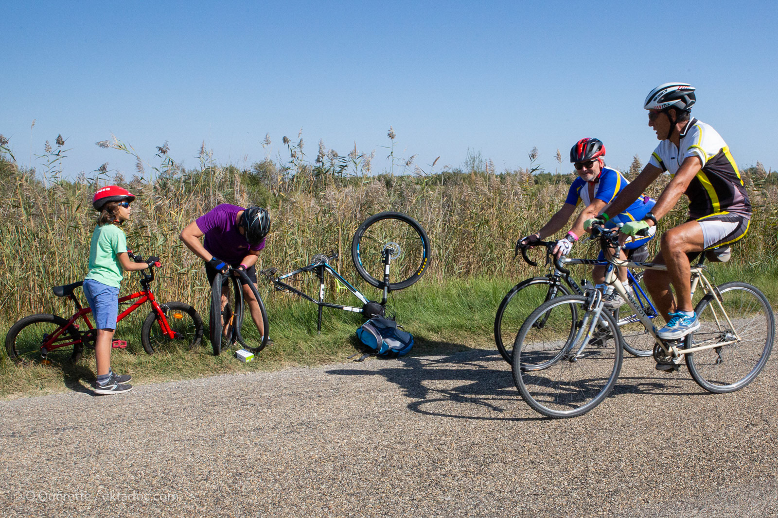 A bicyclette sur la route du sel entre Salin-de-Giraud et Arles