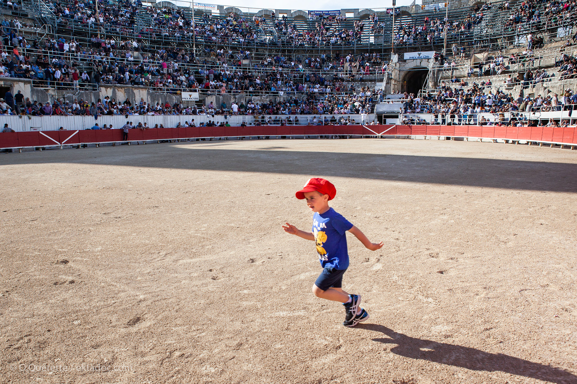 Course camarguaise aux arènes d'Arles