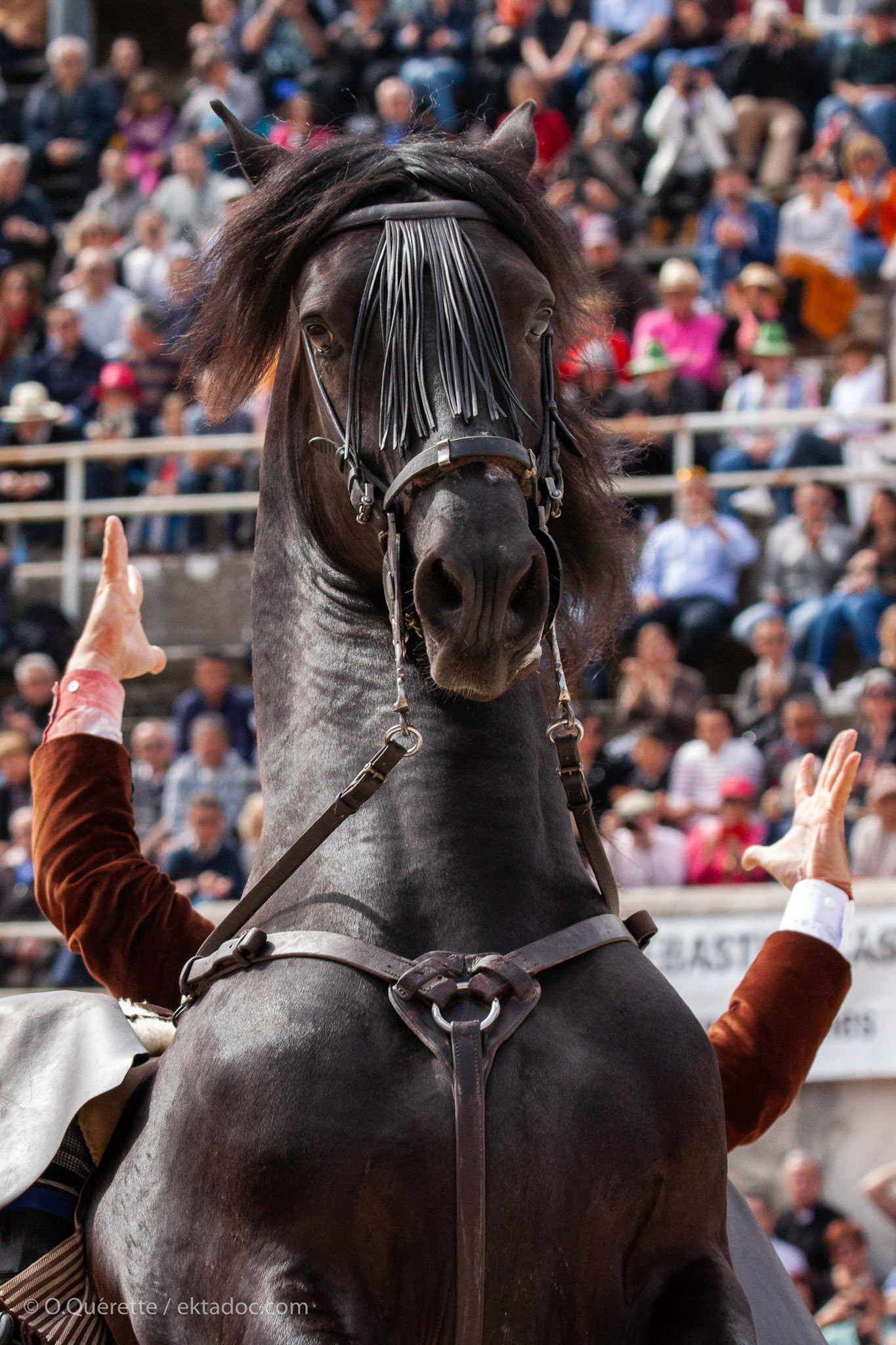 Feria de Pâques, corrida Rejon