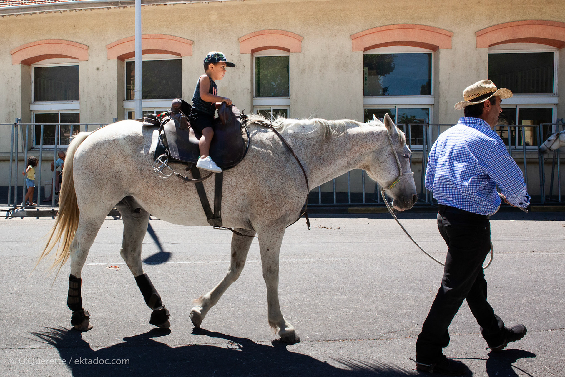 Très jeune gardian à cheval à Salin de Giraud