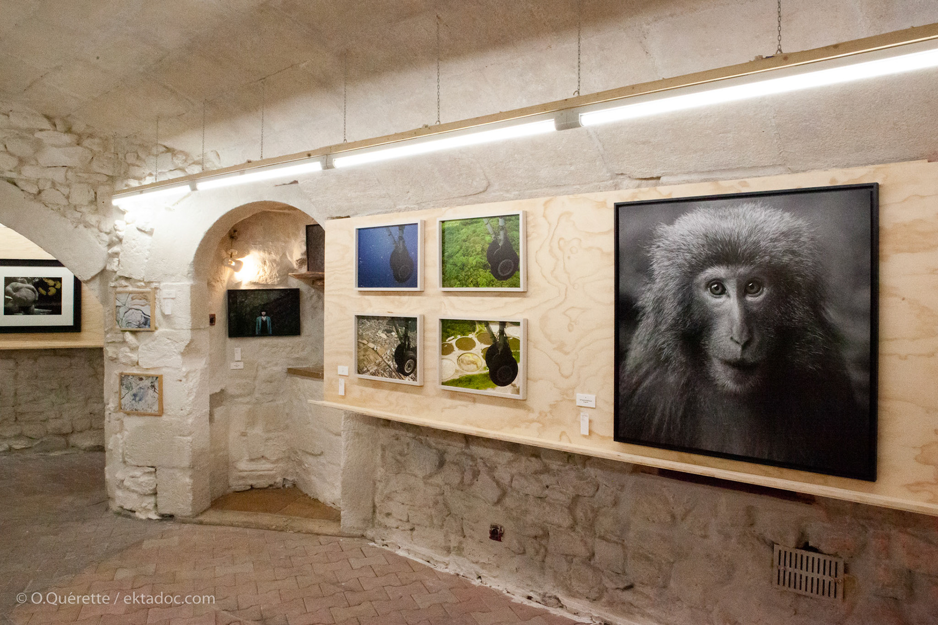La galerie du restaurant Monstre à Arles