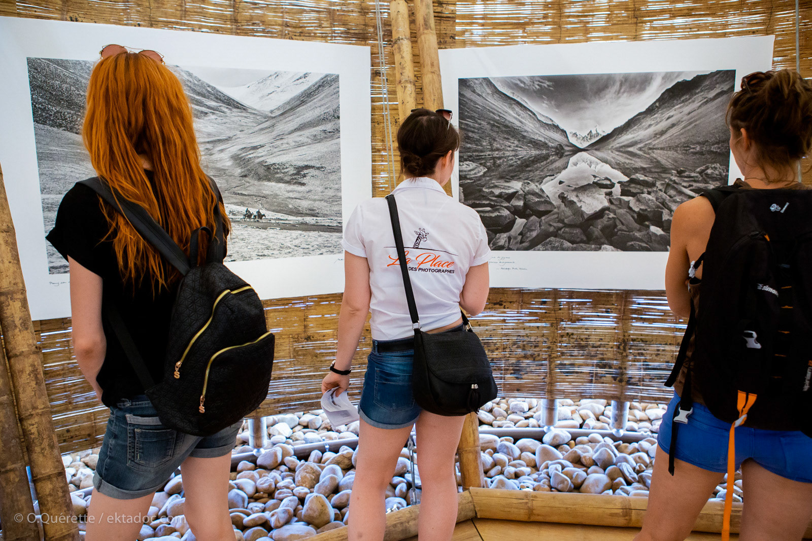 L'exposition de Matthieu Ricard lors des Rencontres de la Photographie à Arles