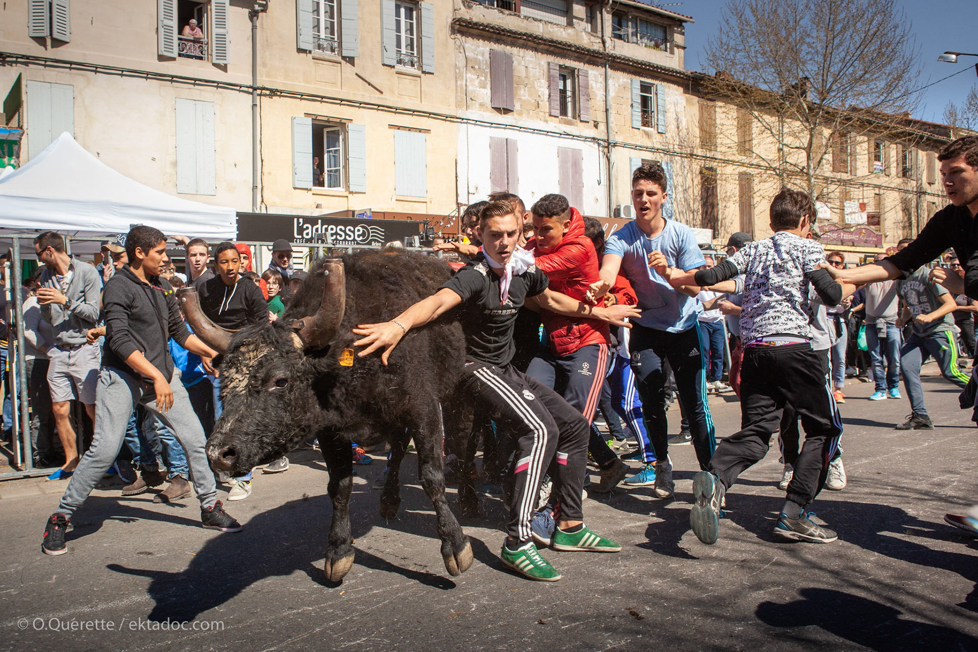 Feria de Pâques. Abrivado boulevard Victor Hugo à Arles