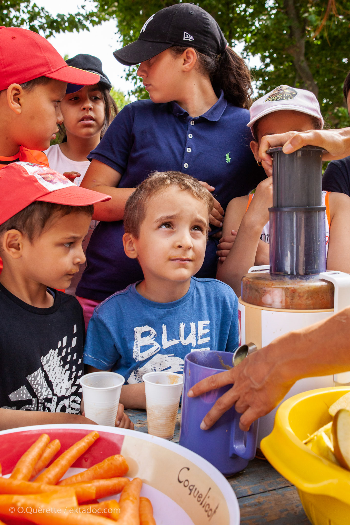 Animations pour la Fête des fruits et légumes frais à l'école maternelle et primaire des Alyscamps