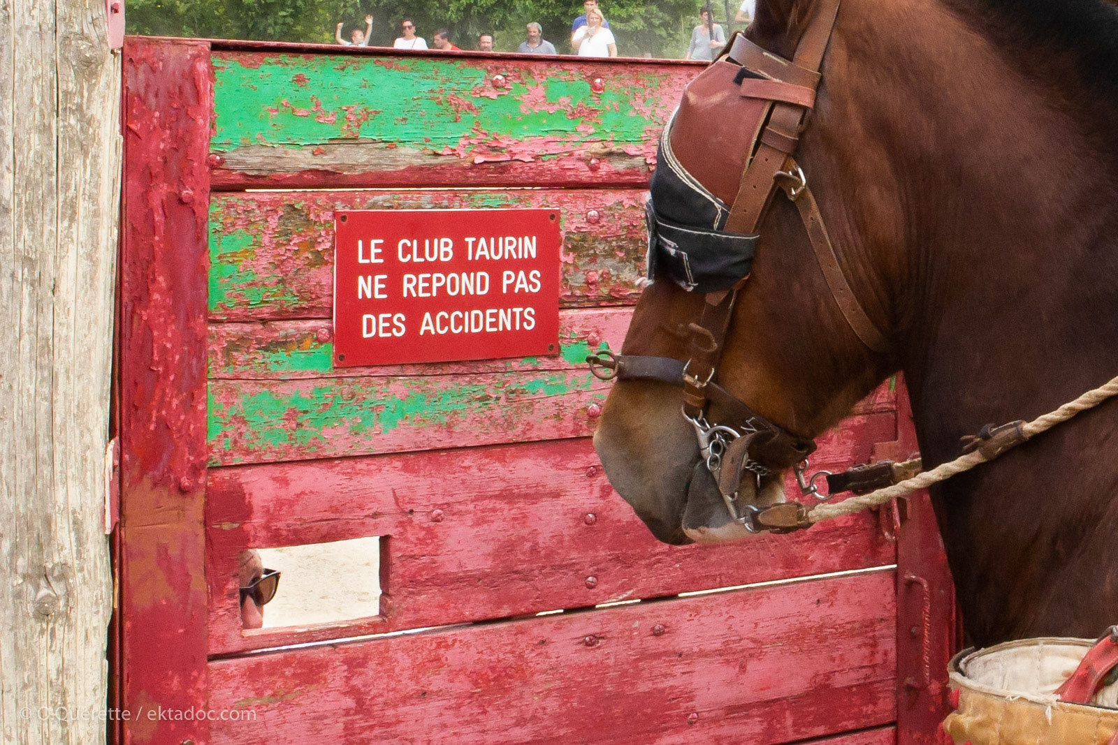 Paseo pour les 30 ans de l'école taurine
