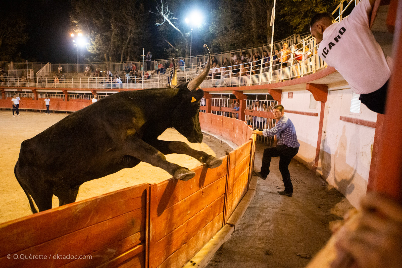 Finales razeteurs aux arènes de Salin de Giraud