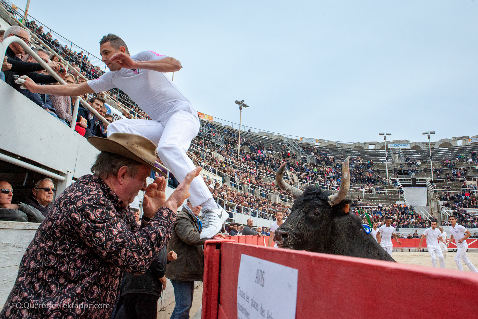 Course camarguaise. Feria de Pâques à Arles
