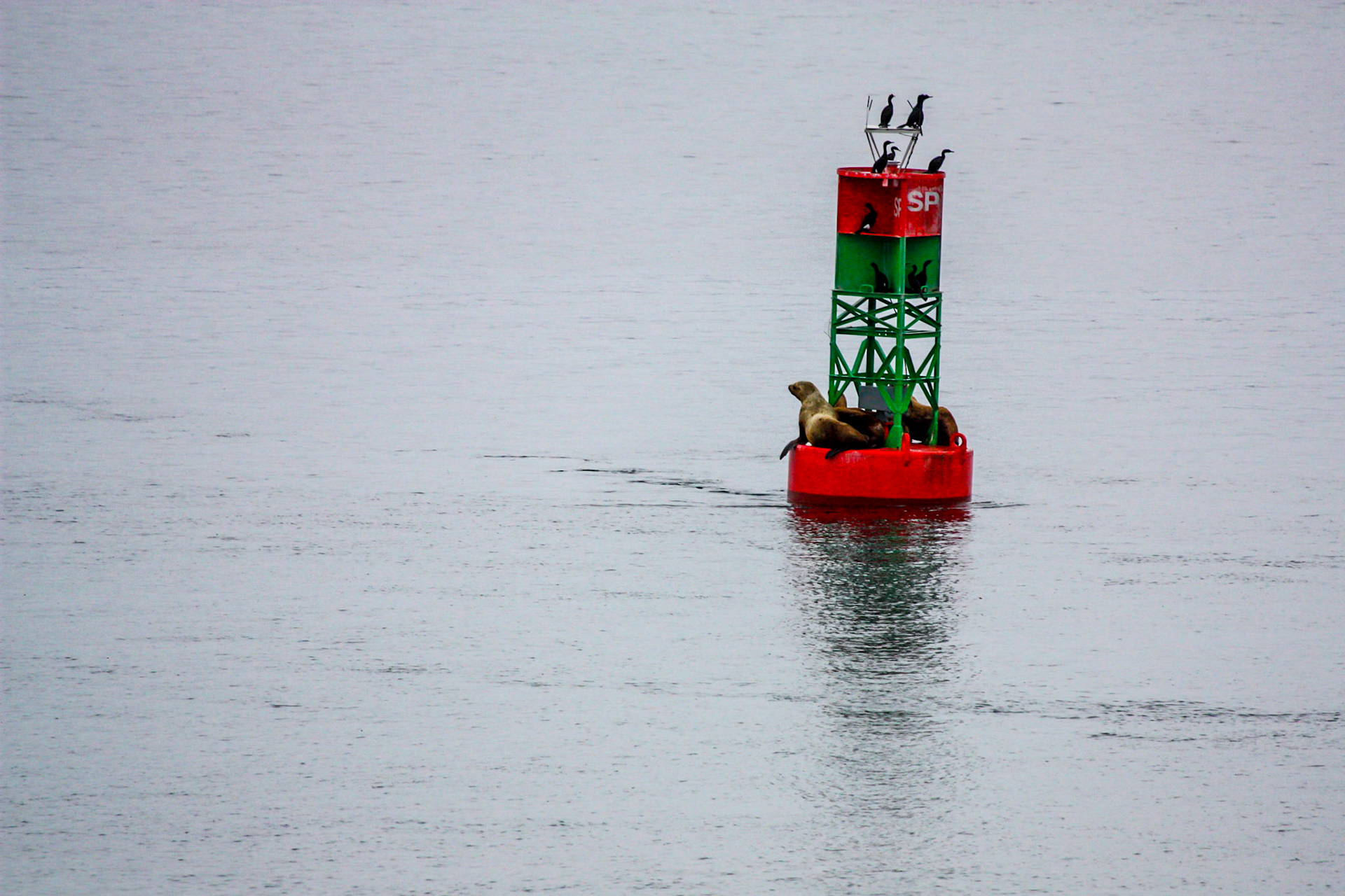 Off the coast of Alaska. May 21, 2012