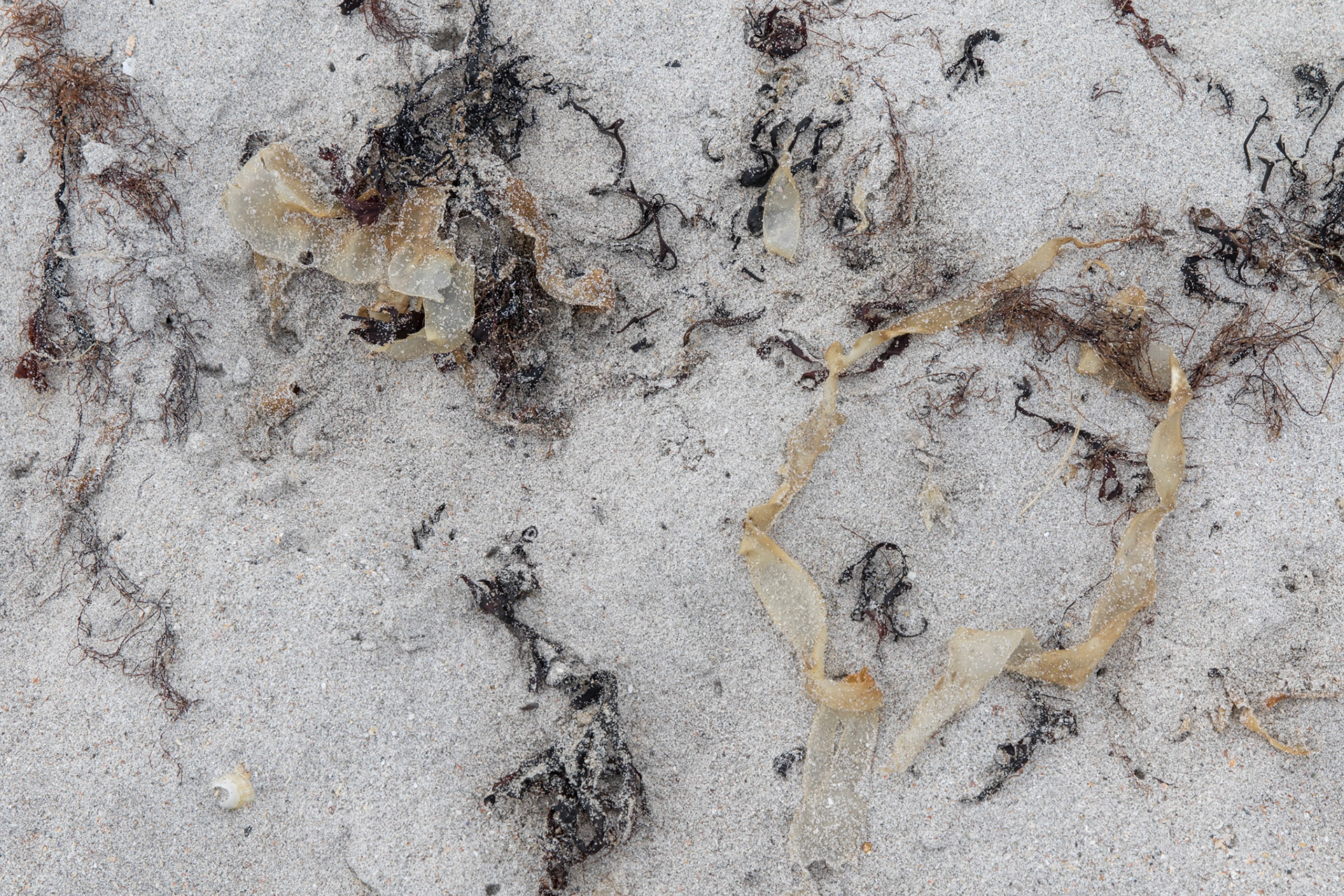 Isle of Iona, Scotland