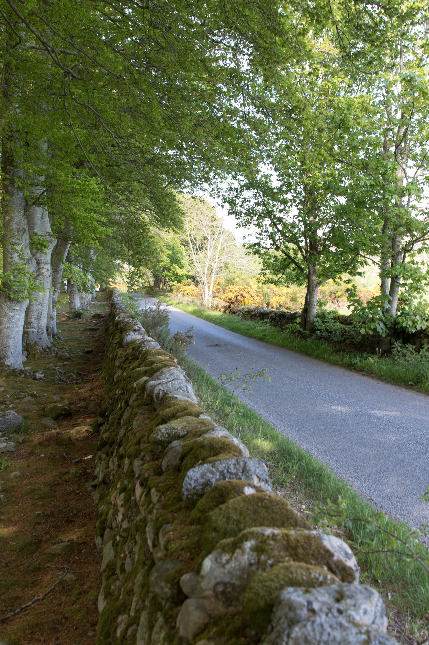Clava Cairns in Inverness Scotland