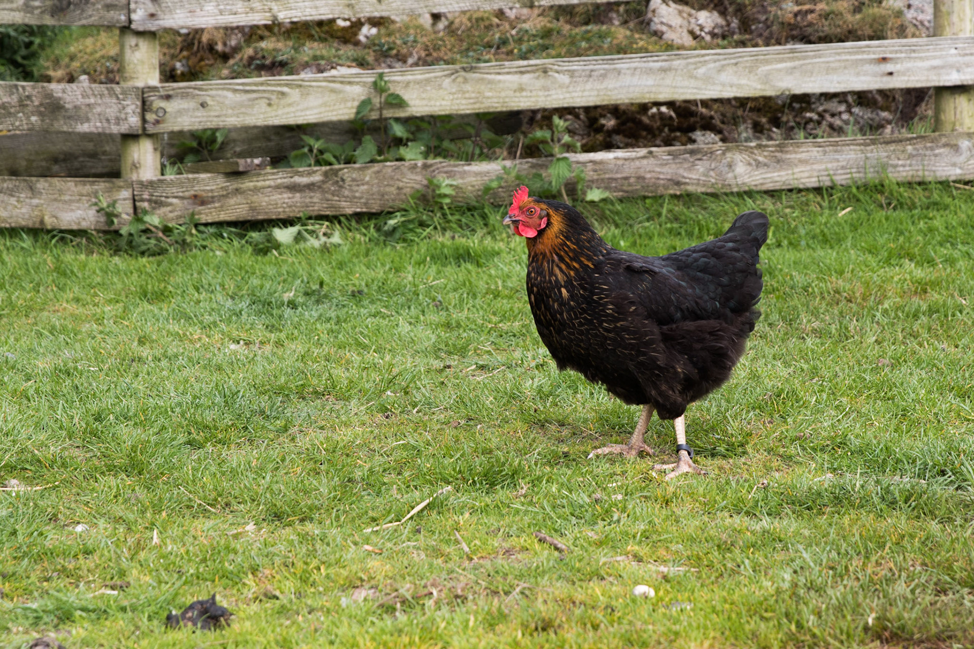 Isle of Iona, Scotland. May 19, 2019