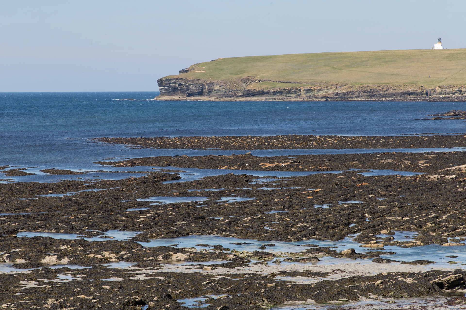 Birsay Bay with the Bourgh of Birsay lighthouse in the distance.