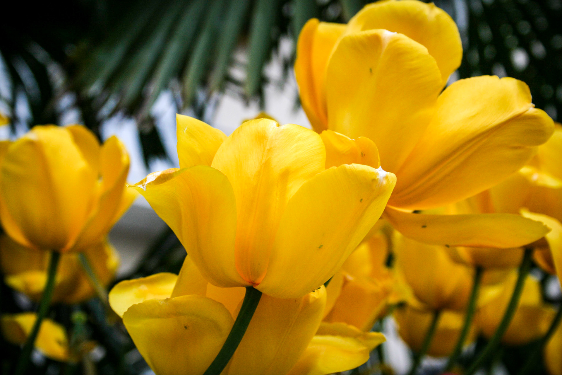 Hotel Victoria. Glion-Montreux, Lake Geneva, Switzerland. May 21, 2008