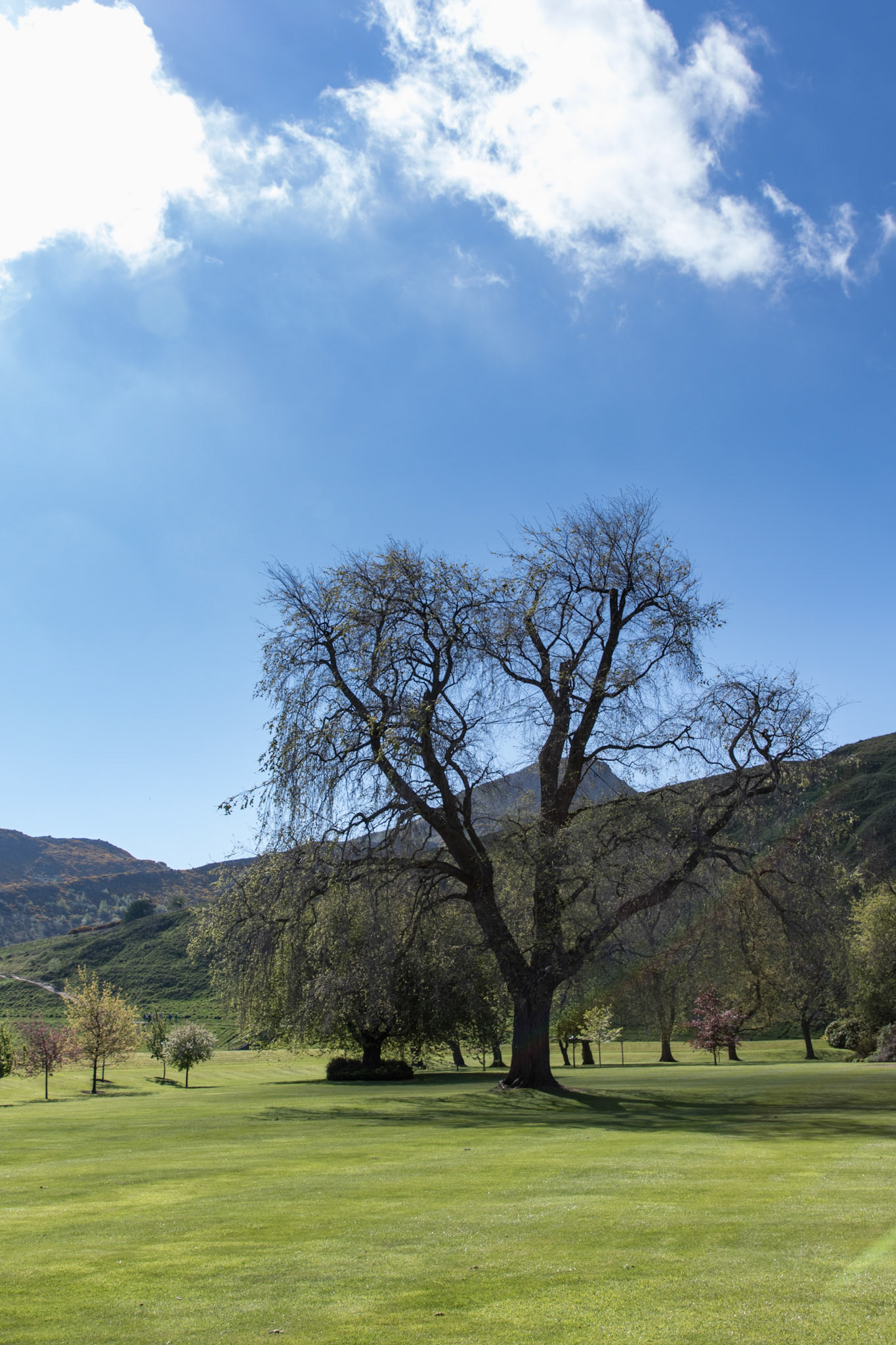 The Palace of Holyroodhouse - The Gardens