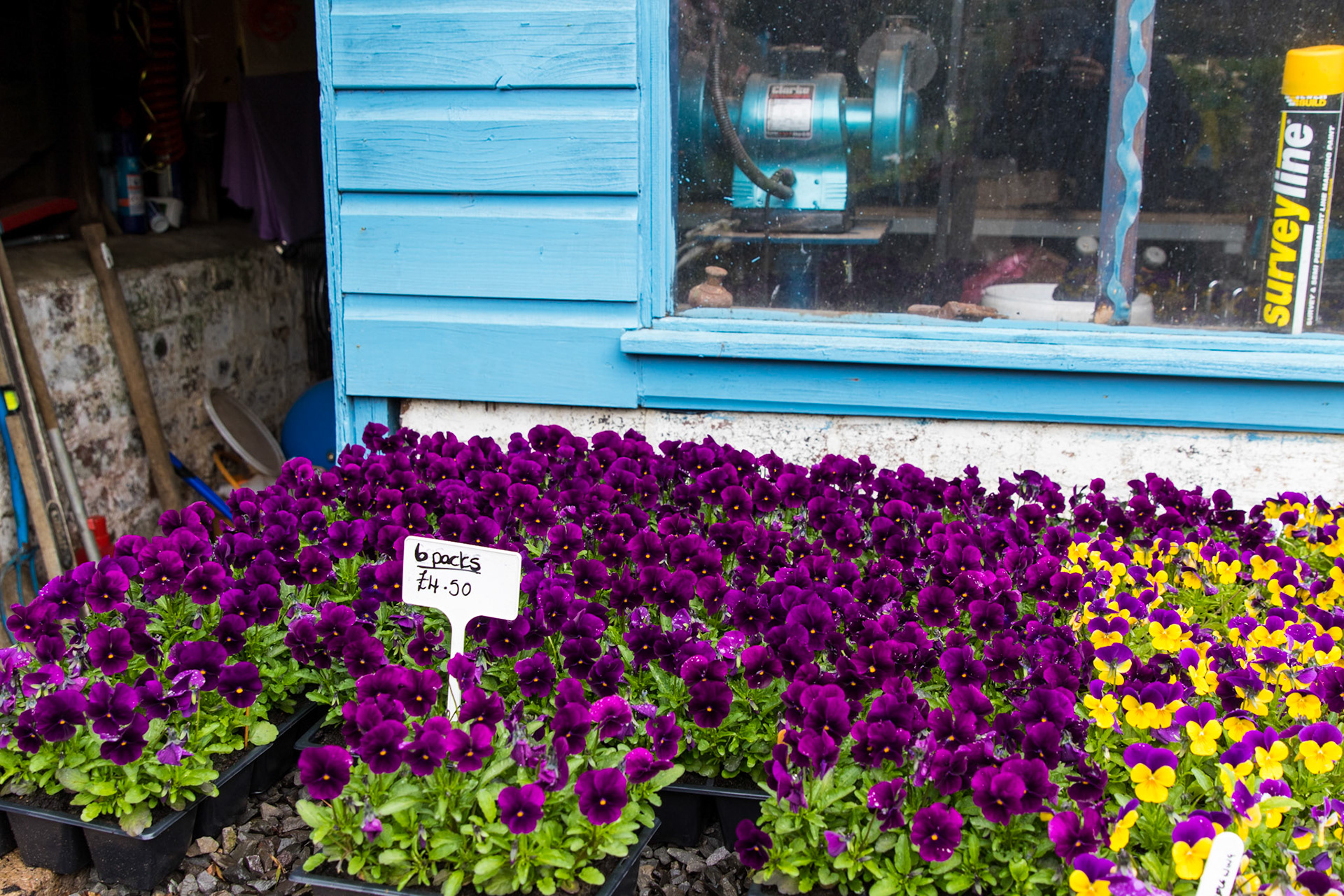 Glengorm Castle, Isle of Mull