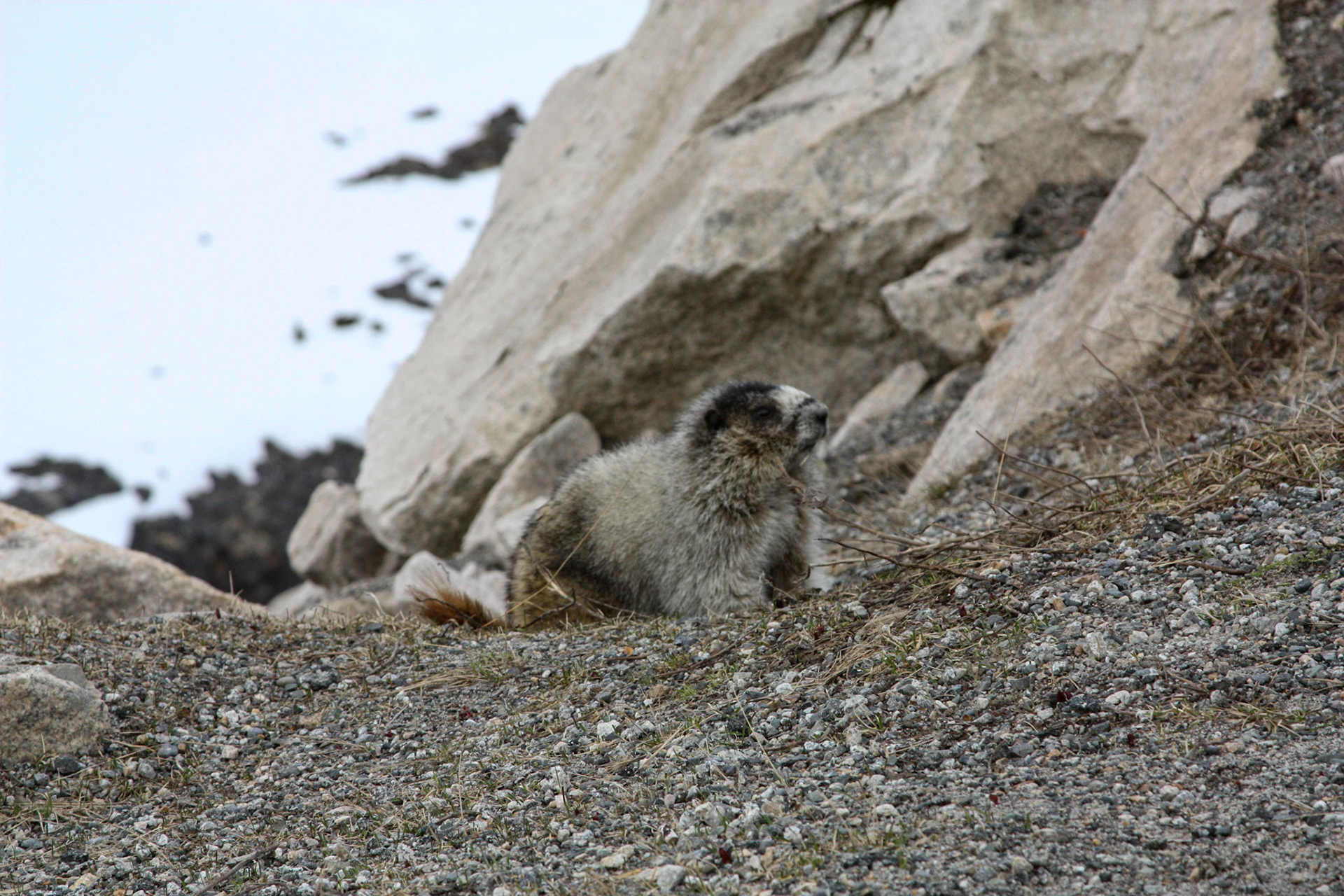 Alaska/Canada Border. May 23, 2012