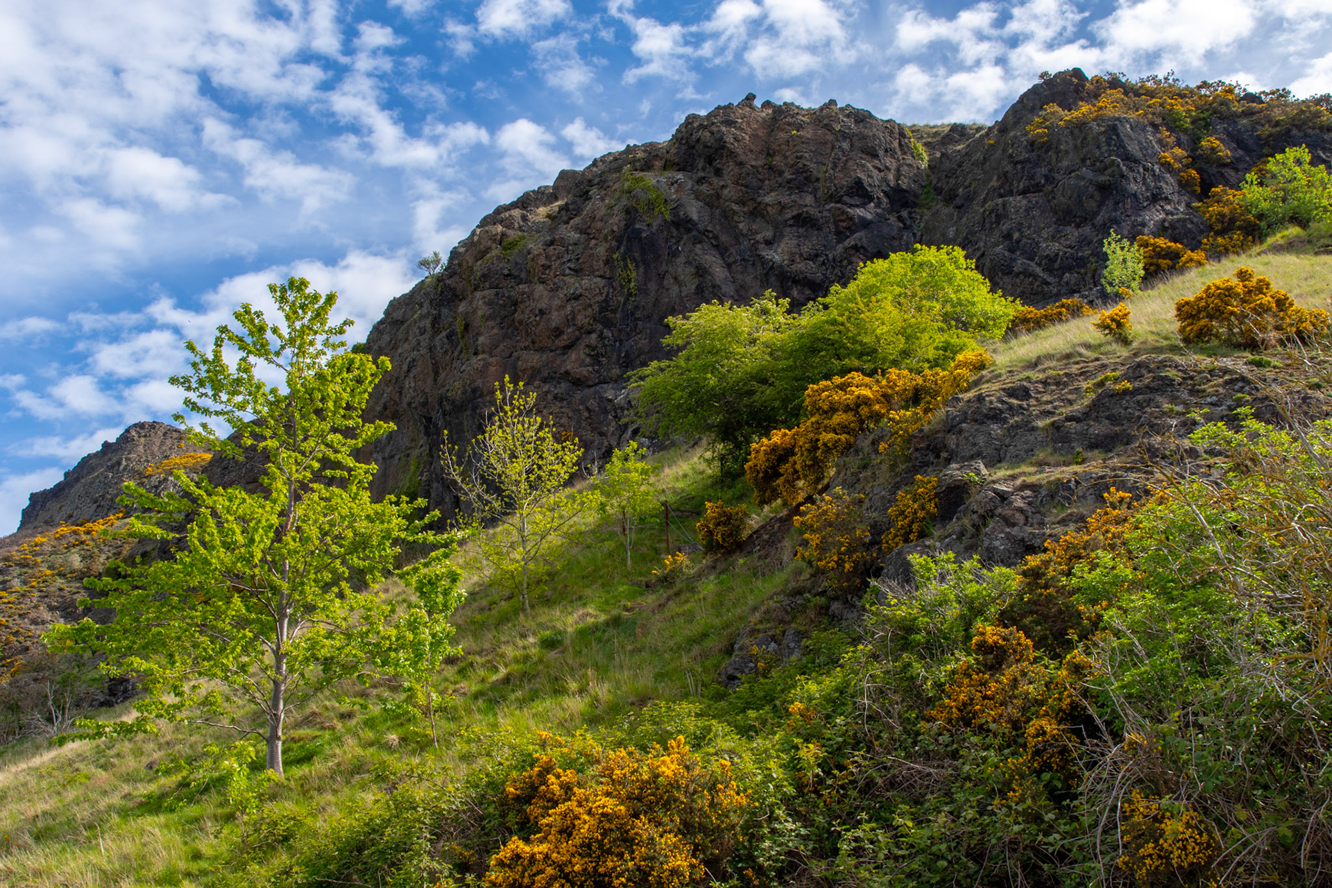 Shot somewhere up high above Edinburgh, in Holyrood Park, on top of an extinct volcano 🌋 called Arthur’s Peak, one may be distracted by city views and miss the beauty that lies the other way. . . . Arthur’s Seat Holyrood Park Edinburgh, Scotland May 13, 2019  #holyroodpark #extinctvolcano #nature #edinburgh #tauck #turnaround #bluesky #scotland #beautifulday #travel