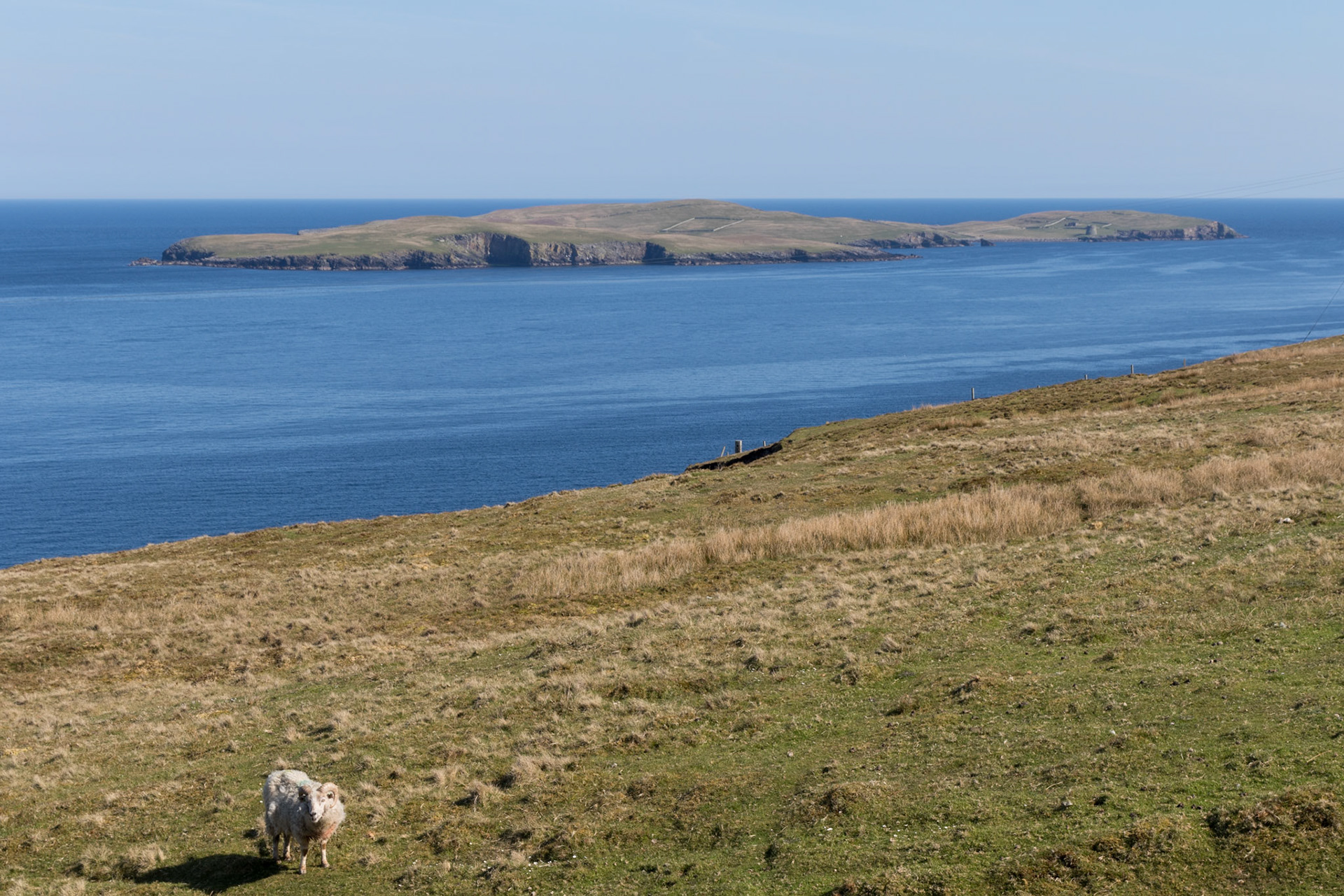 Mousa in the distance in Shetland Islands